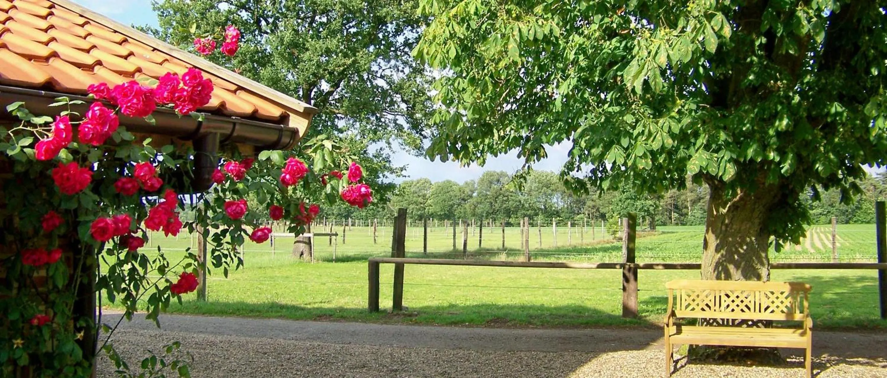 Property building in De Blauwe Maaten