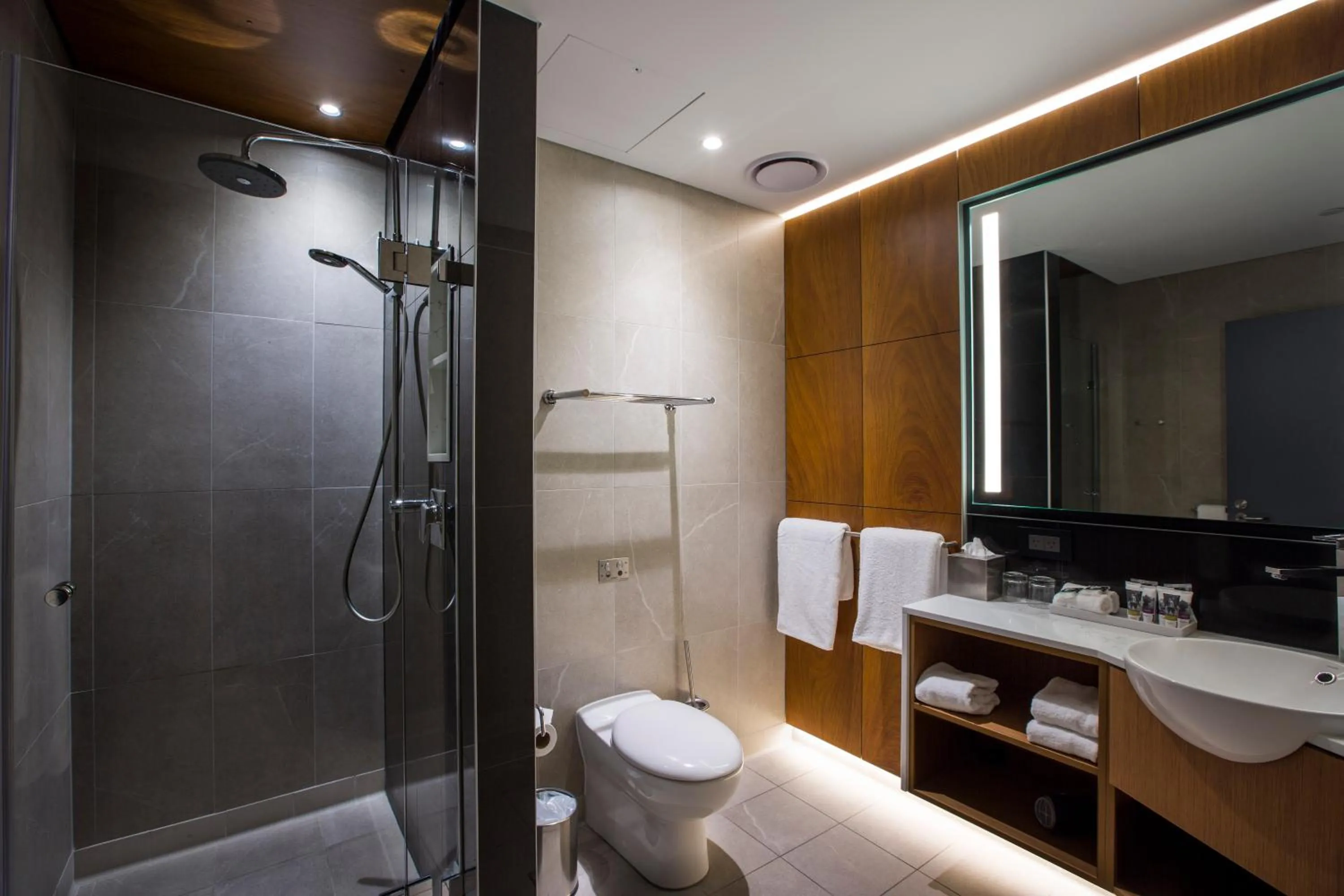 Bathroom in Mercure Sydney Liverpool