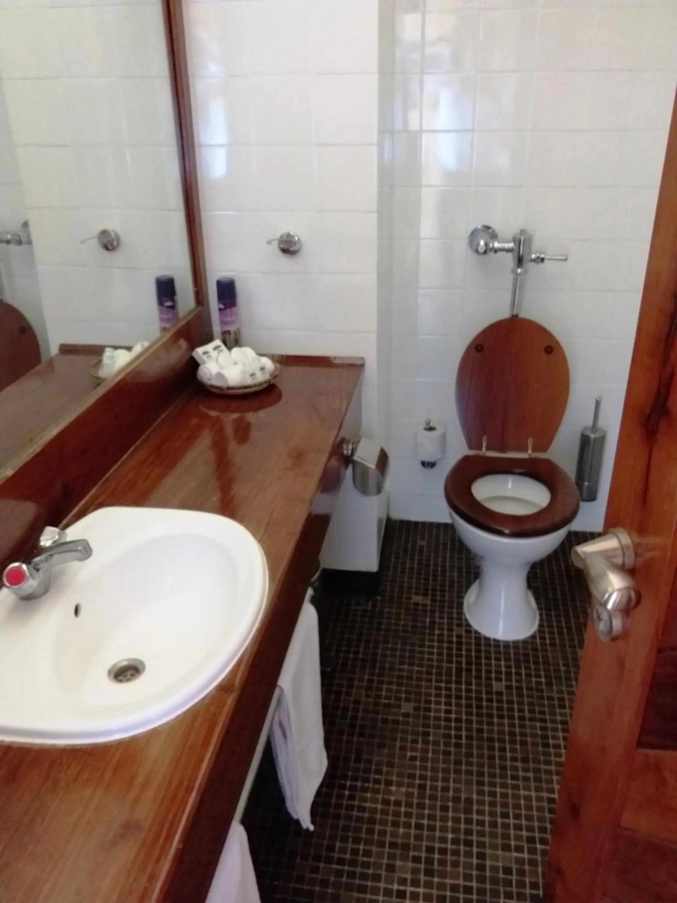 Toilet in Seronera Wildlife Lodge