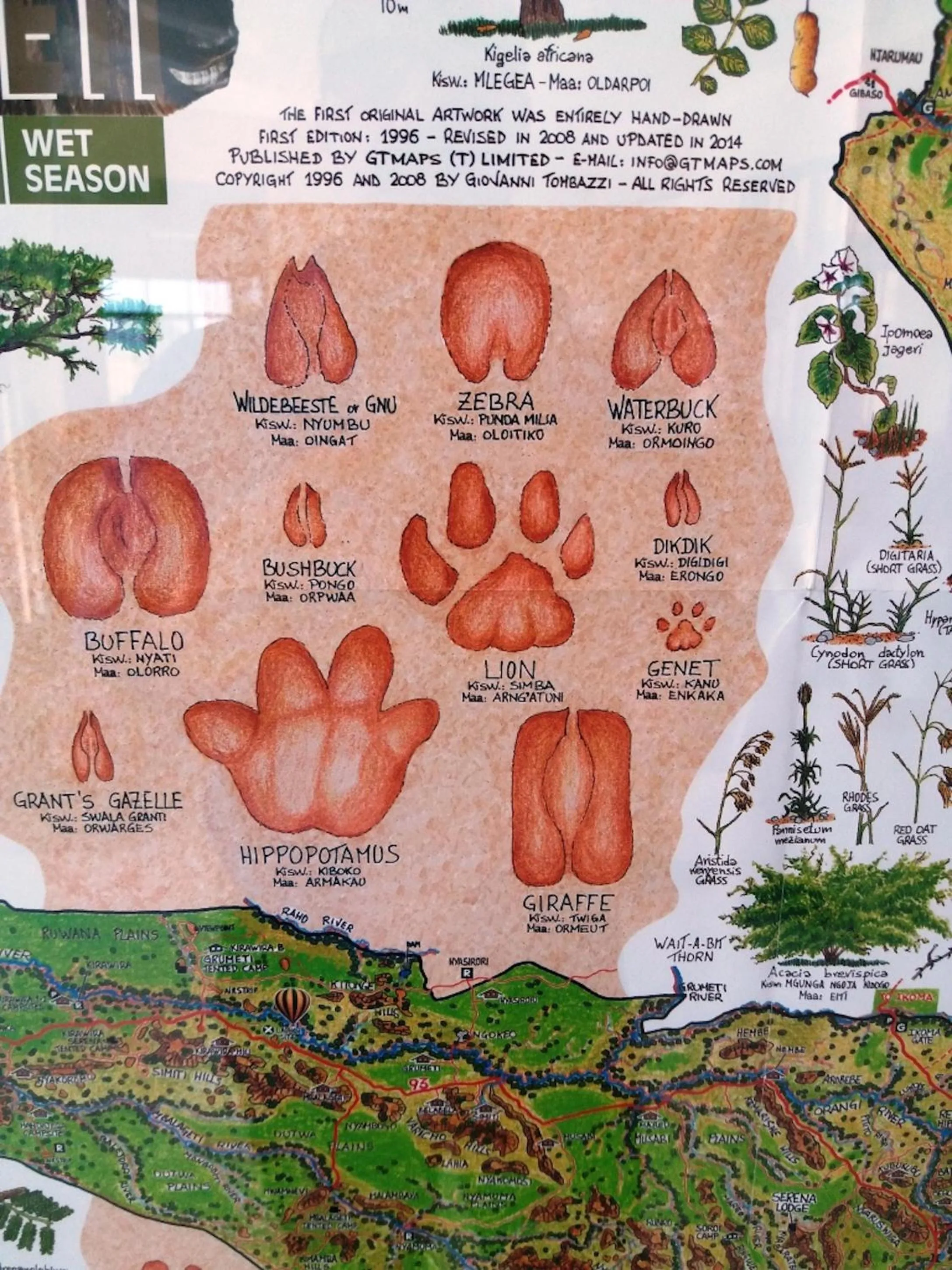 Text overlay in Seronera Wildlife Lodge