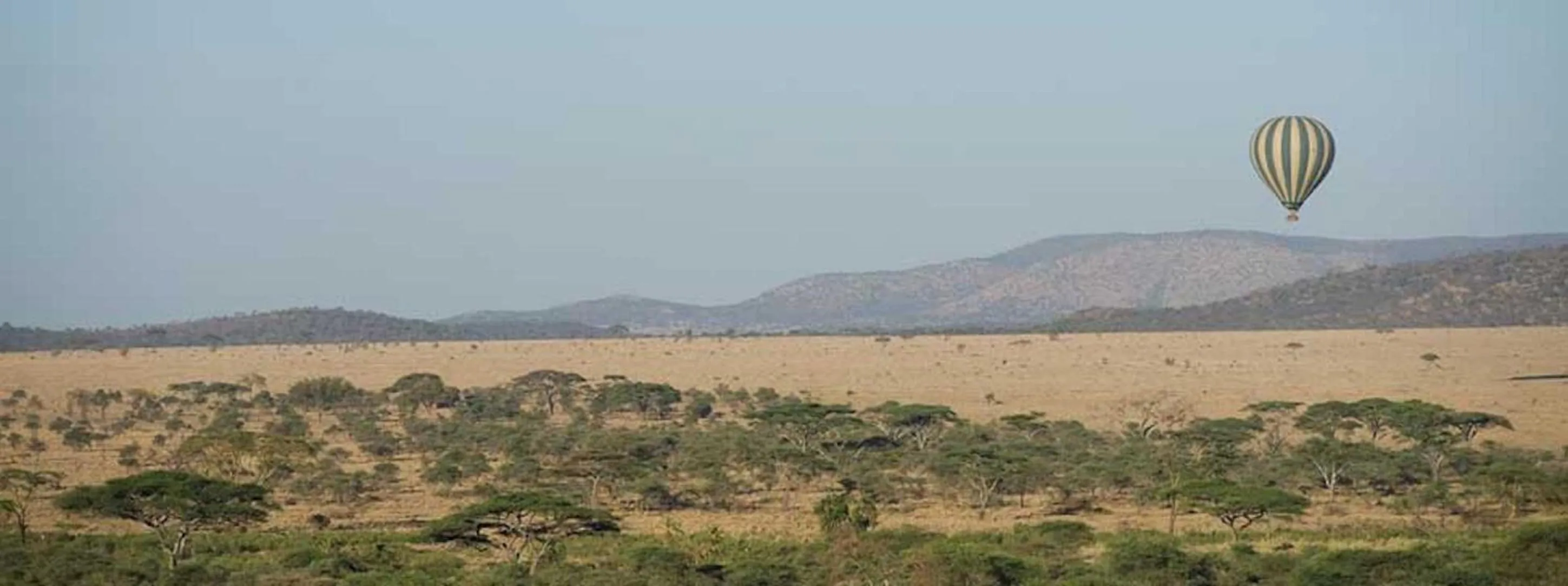 Natural landscape in Seronera Wildlife Lodge