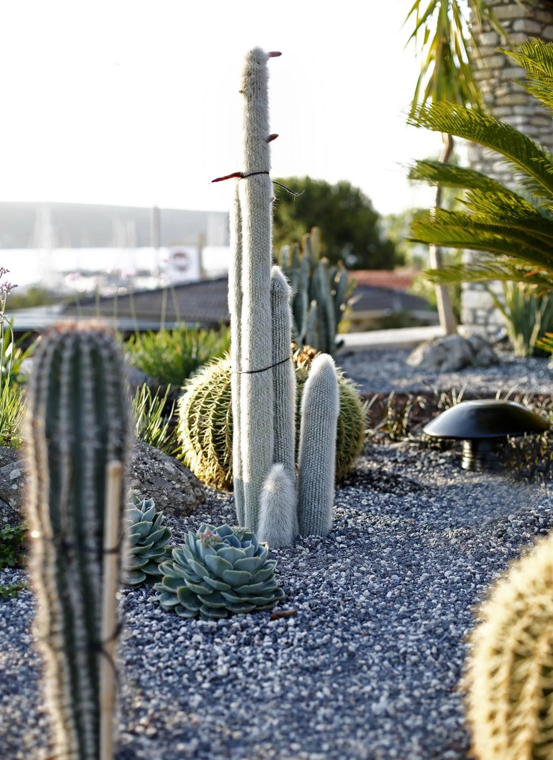 Time of day in Alacatı Port Ladera Hotel - Adult Only