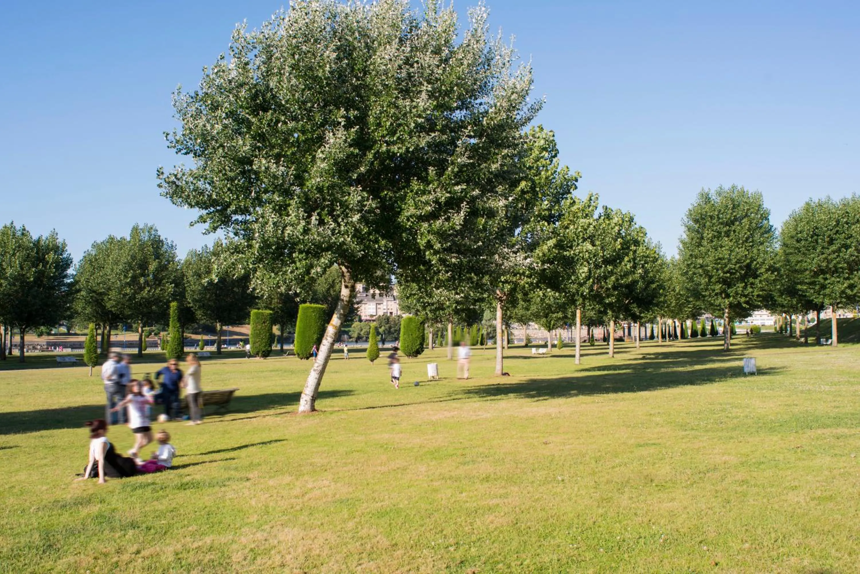 Area and facilities in Apartamentos Portazgo