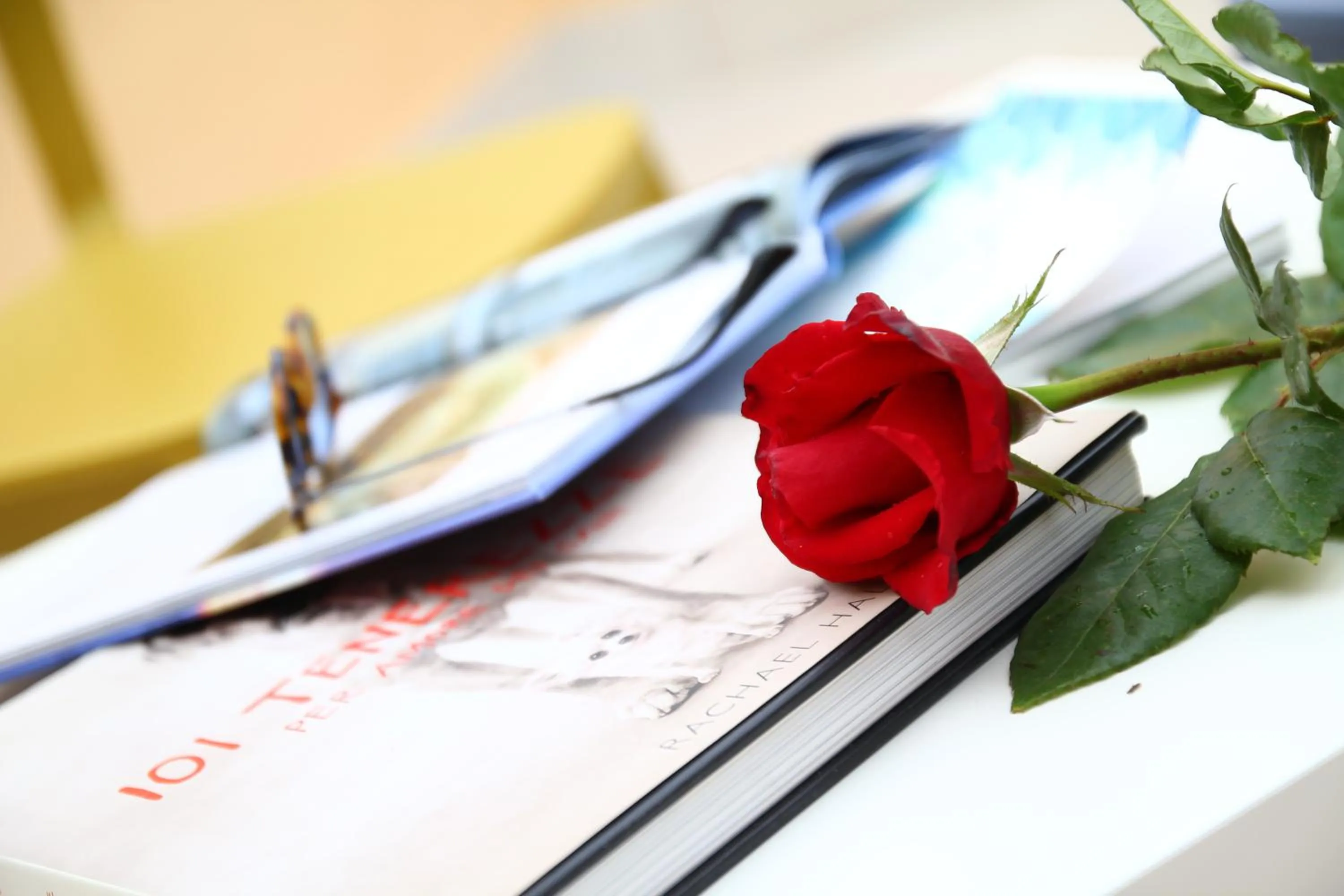 Property building in La Meridiana