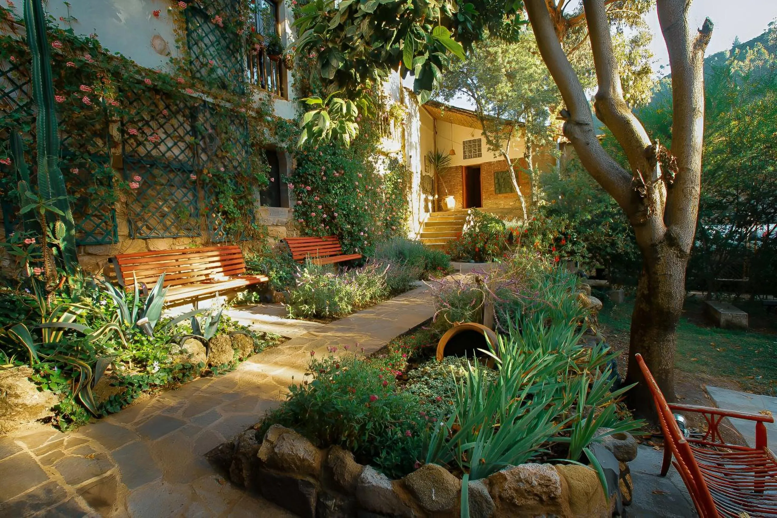 Garden view in ARQUEOLOGO Exclusive Boutique Hotel Cusco - Centro Histórico