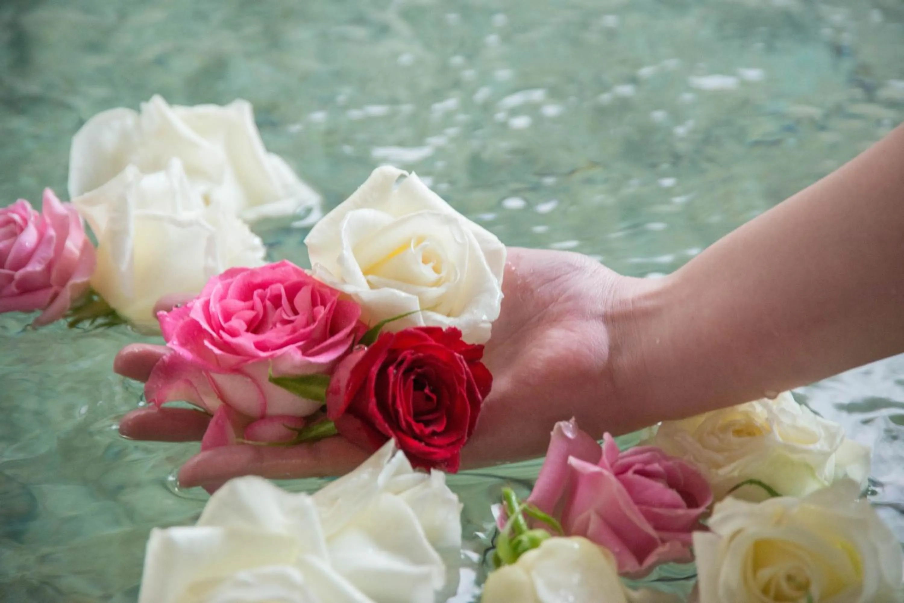 Public Bath in Kappo Ryokan Shiroyama
