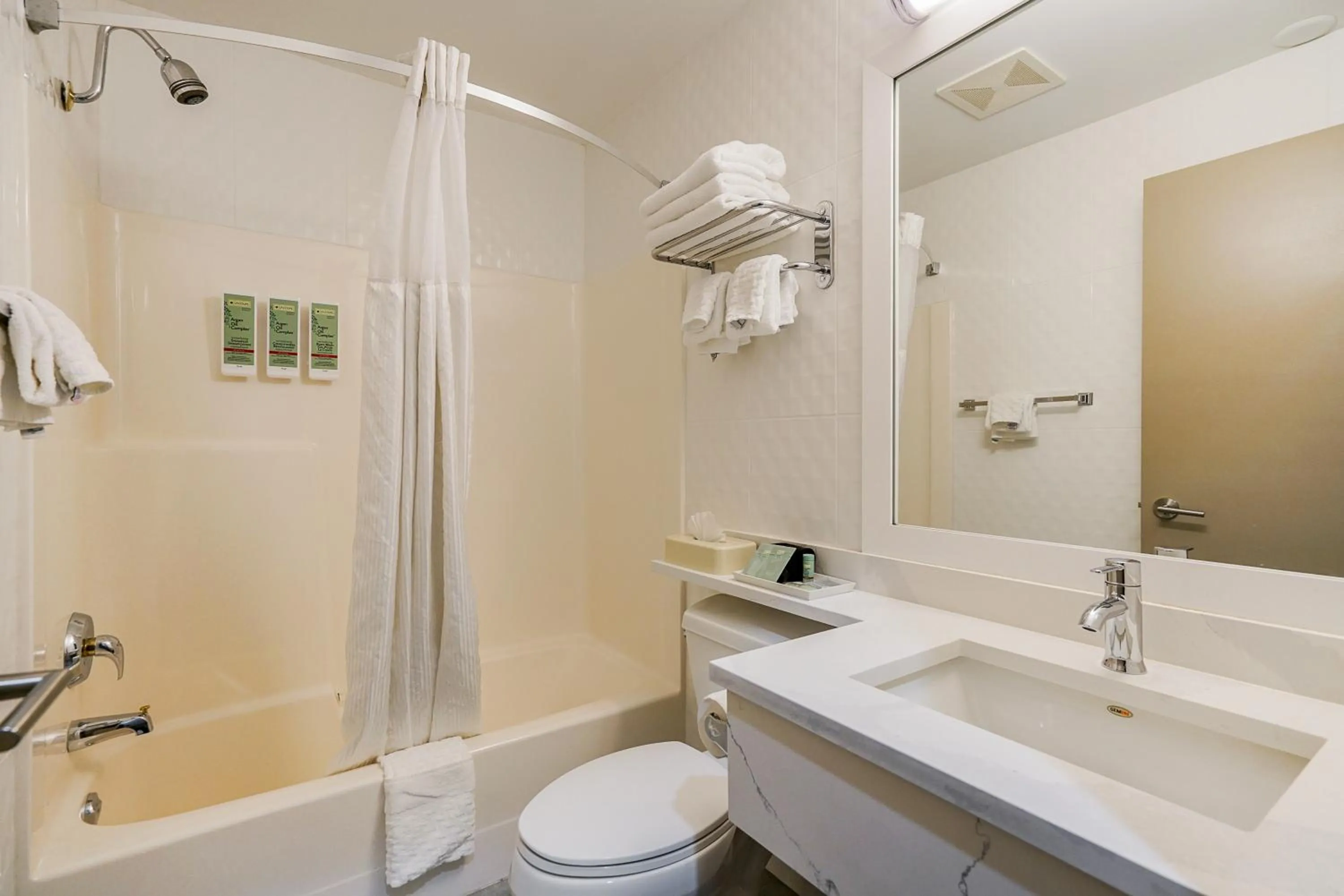 Bathroom in Best Western Peace Arch Inn