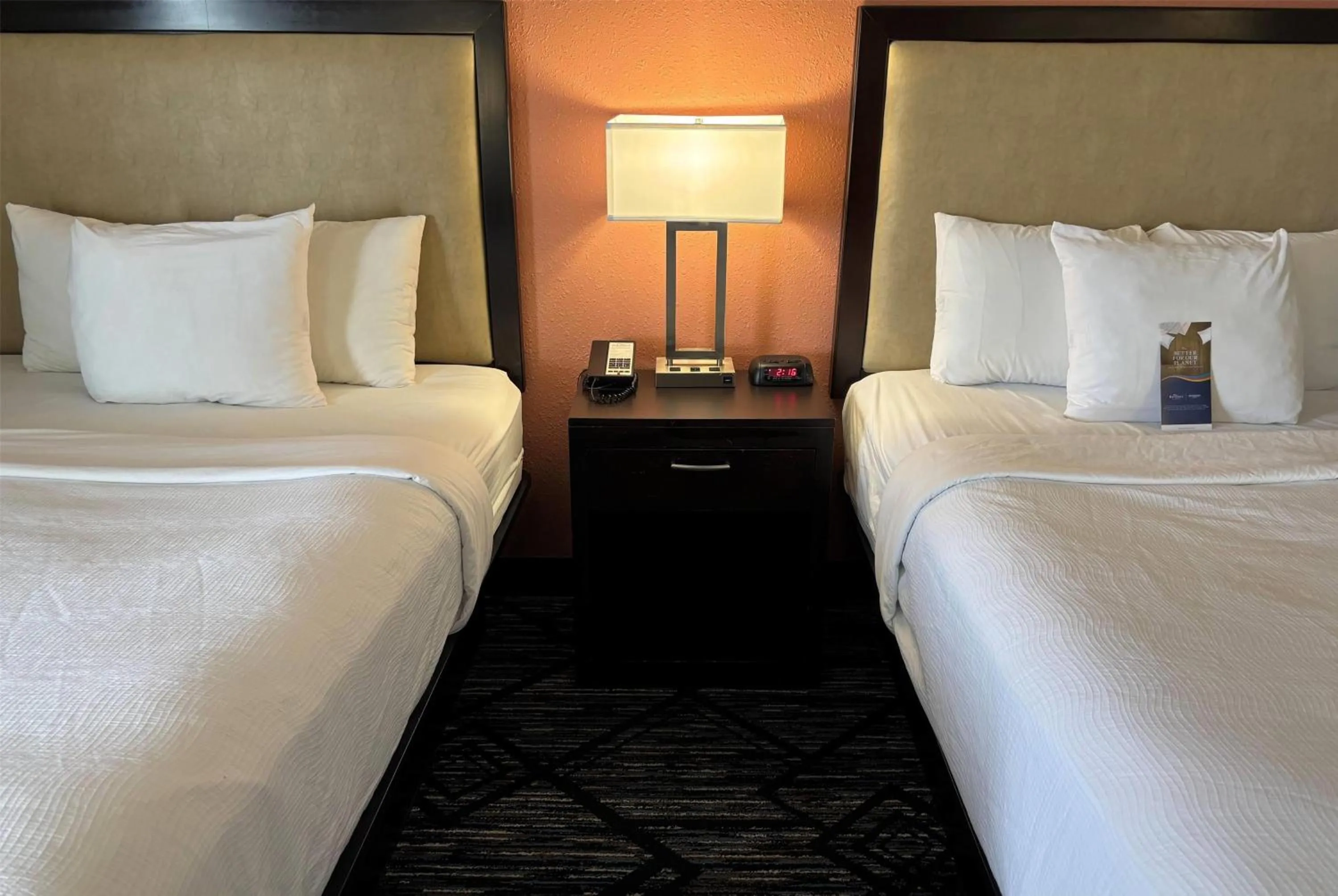 Photo of the whole room, Bed in Baymont by Wyndham Litchfield