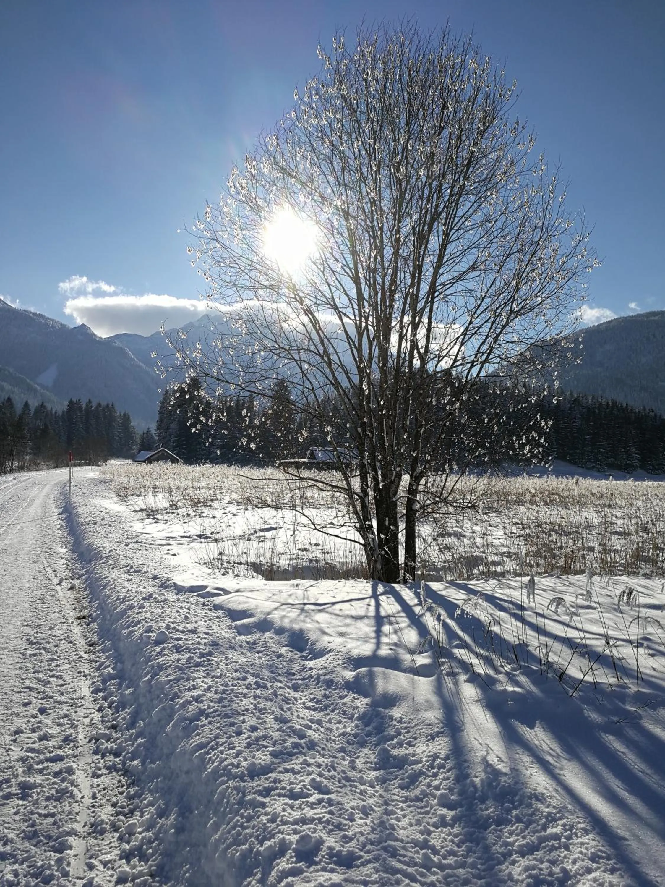 Natural landscape in Das Halali - dein kleines Hotel an der Zugspitze