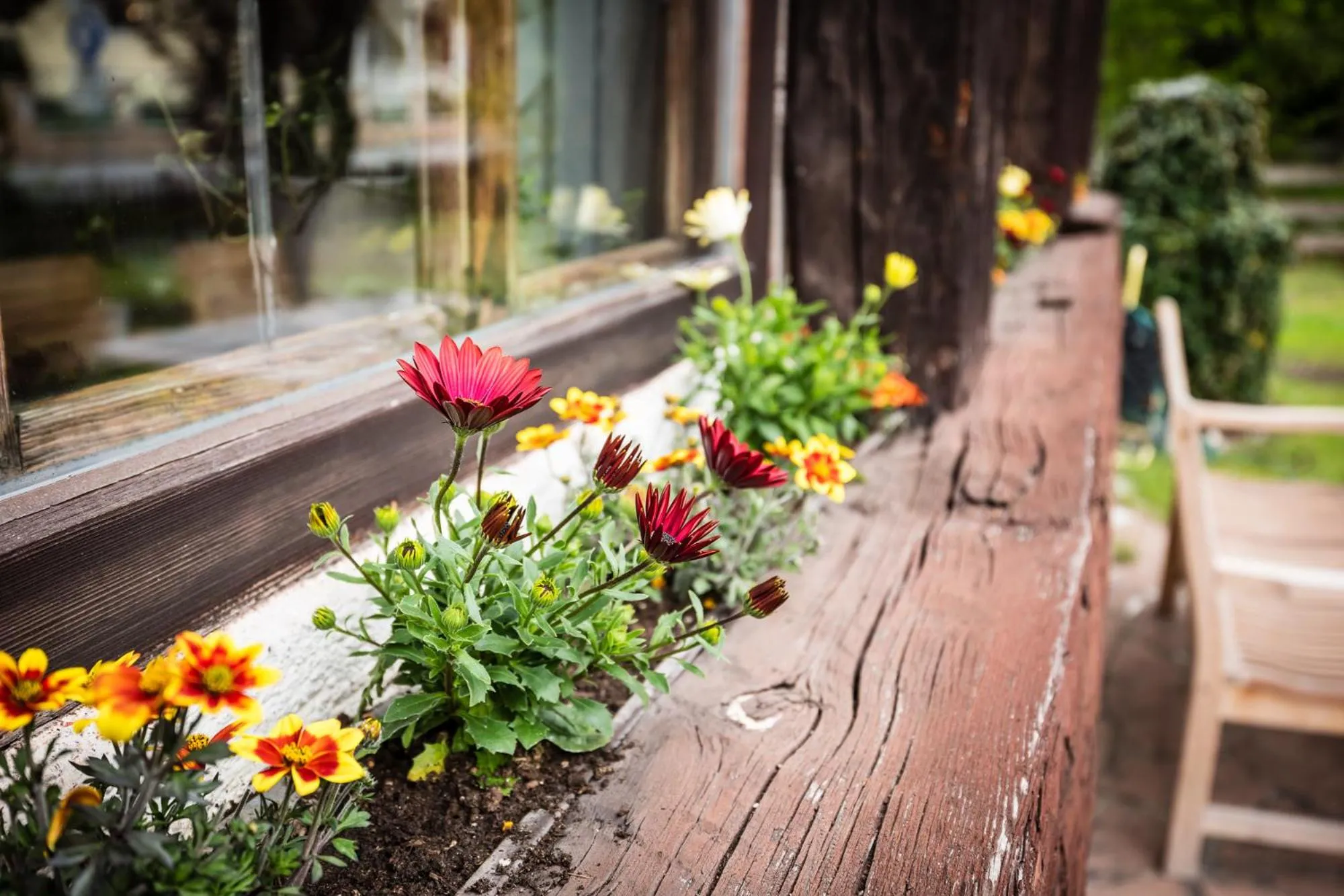 Garden in Das Halali - dein kleines Hotel an der Zugspitze