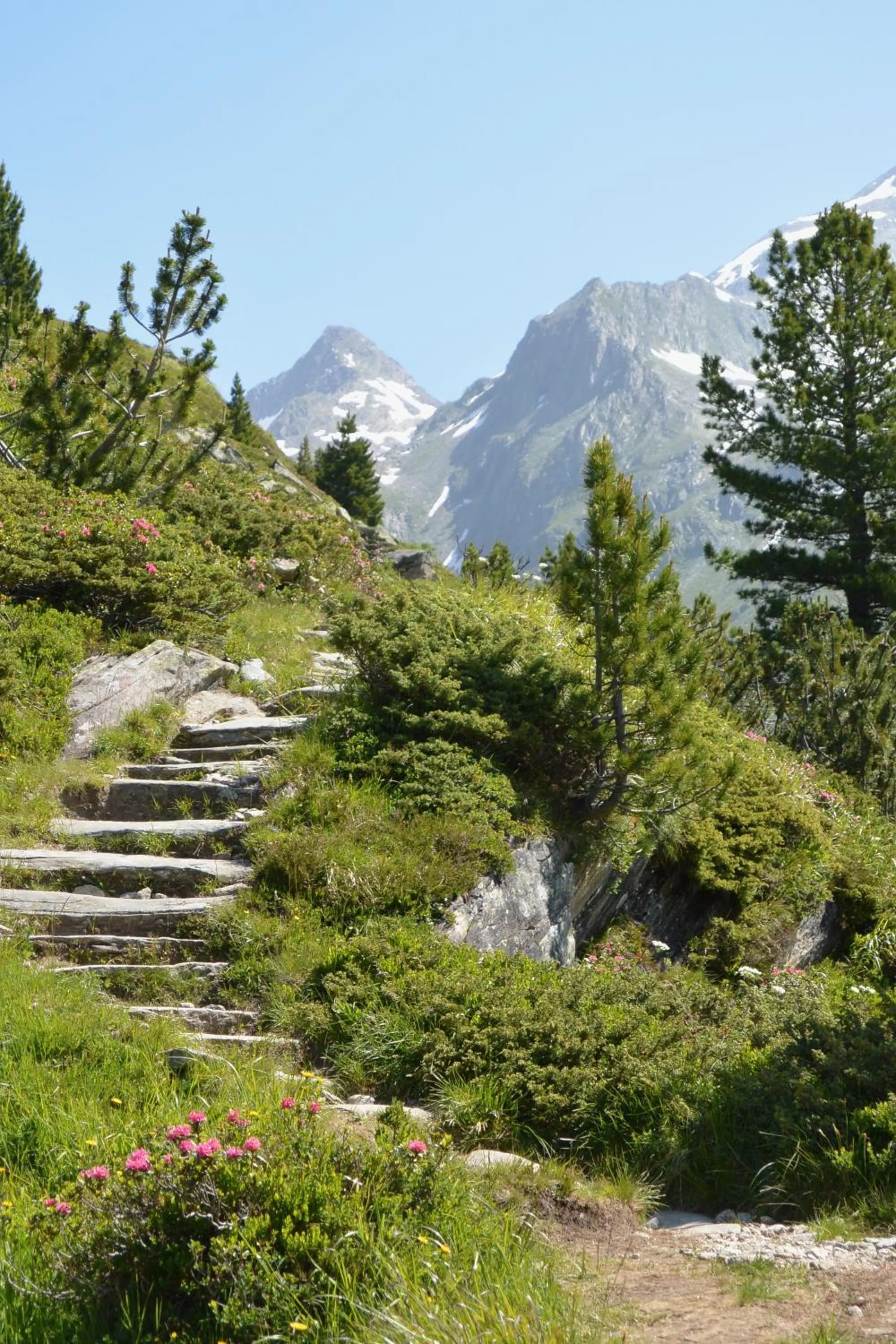 Natural landscape in Apparthotel "Landhaus Veronika"