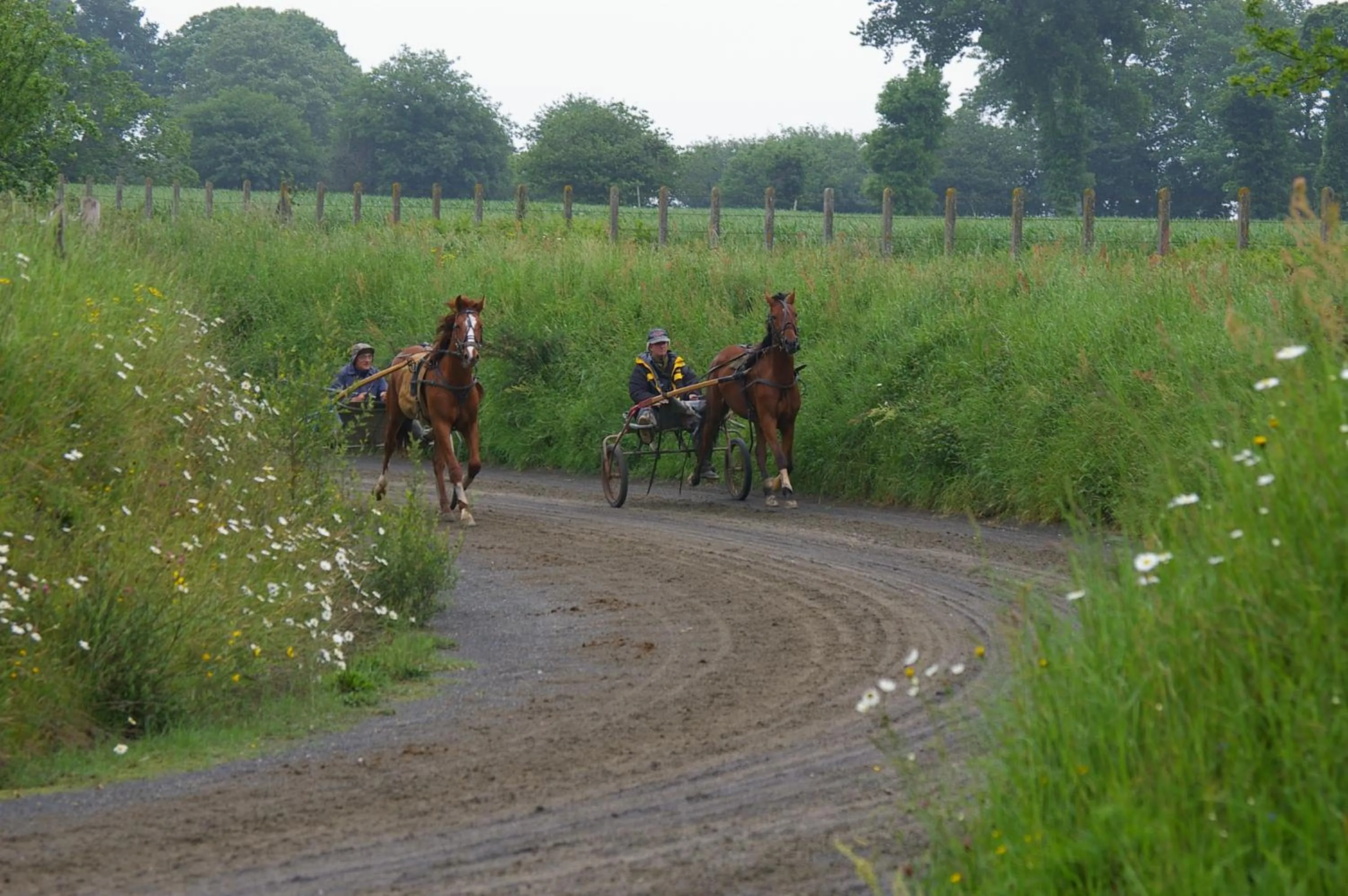 Day in Marie France 's home
