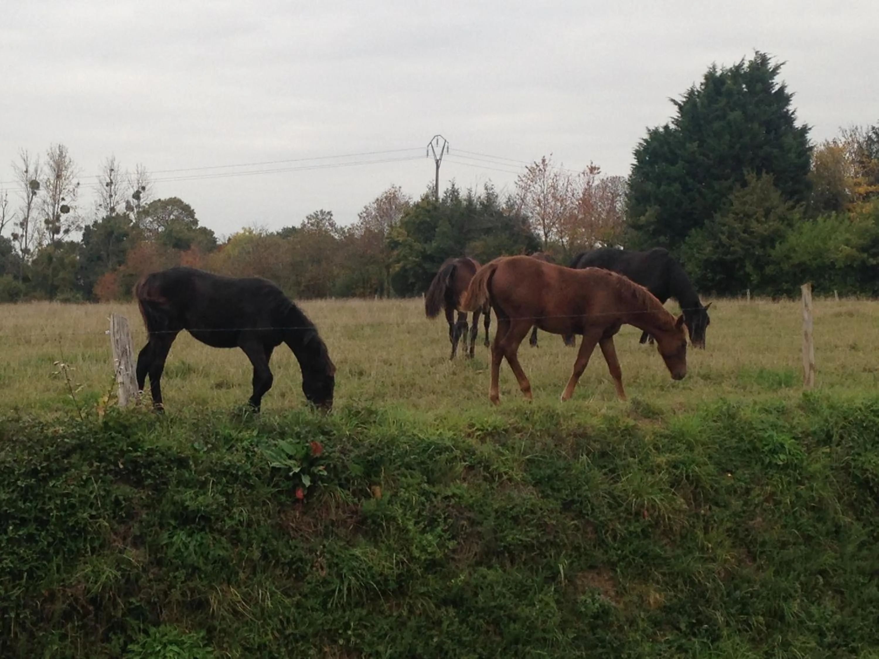 Day in Marie France 's home