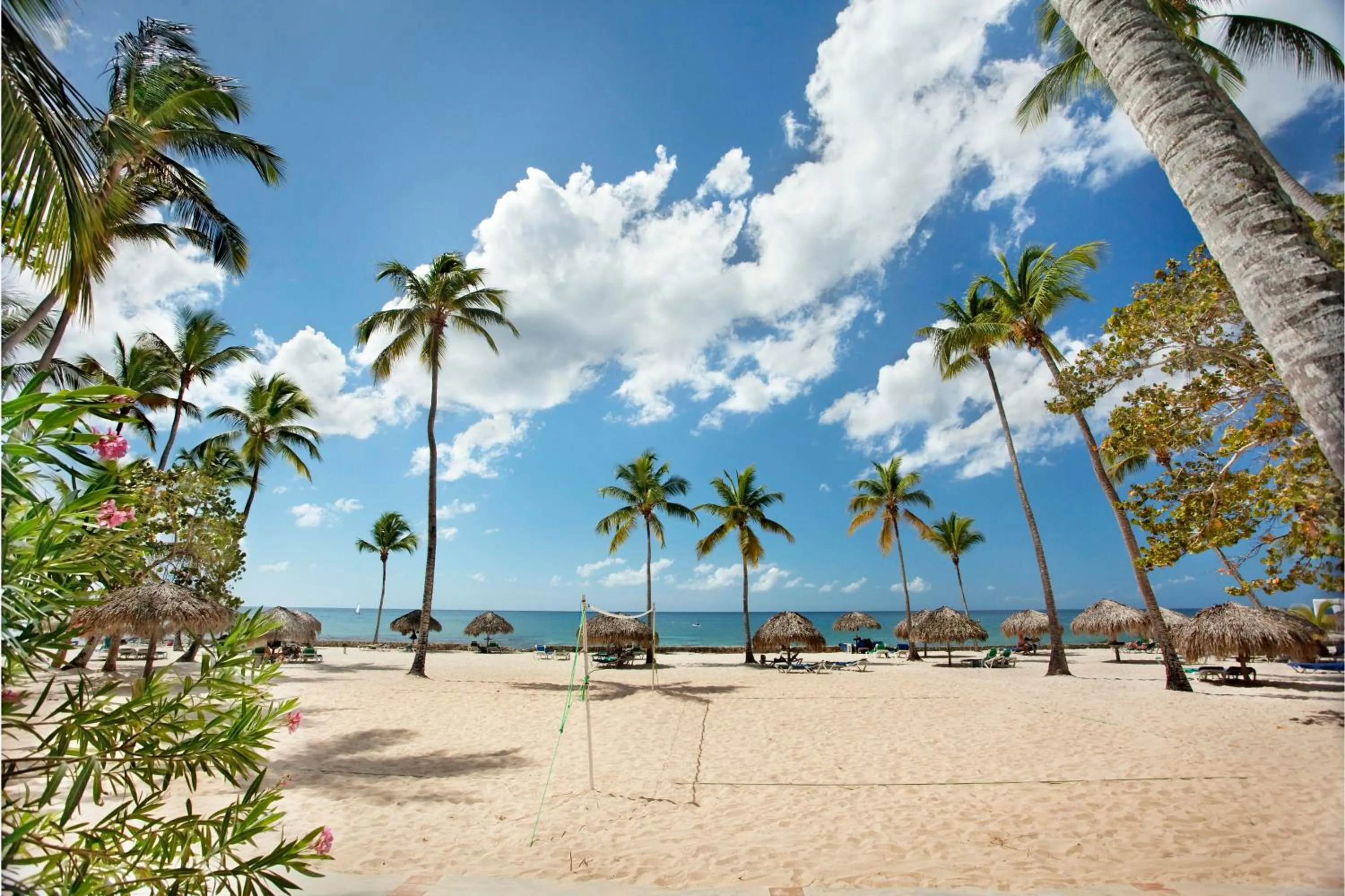 Beach in Viva Dominicus Beach by Wyndham, A Trademark All Inclusive