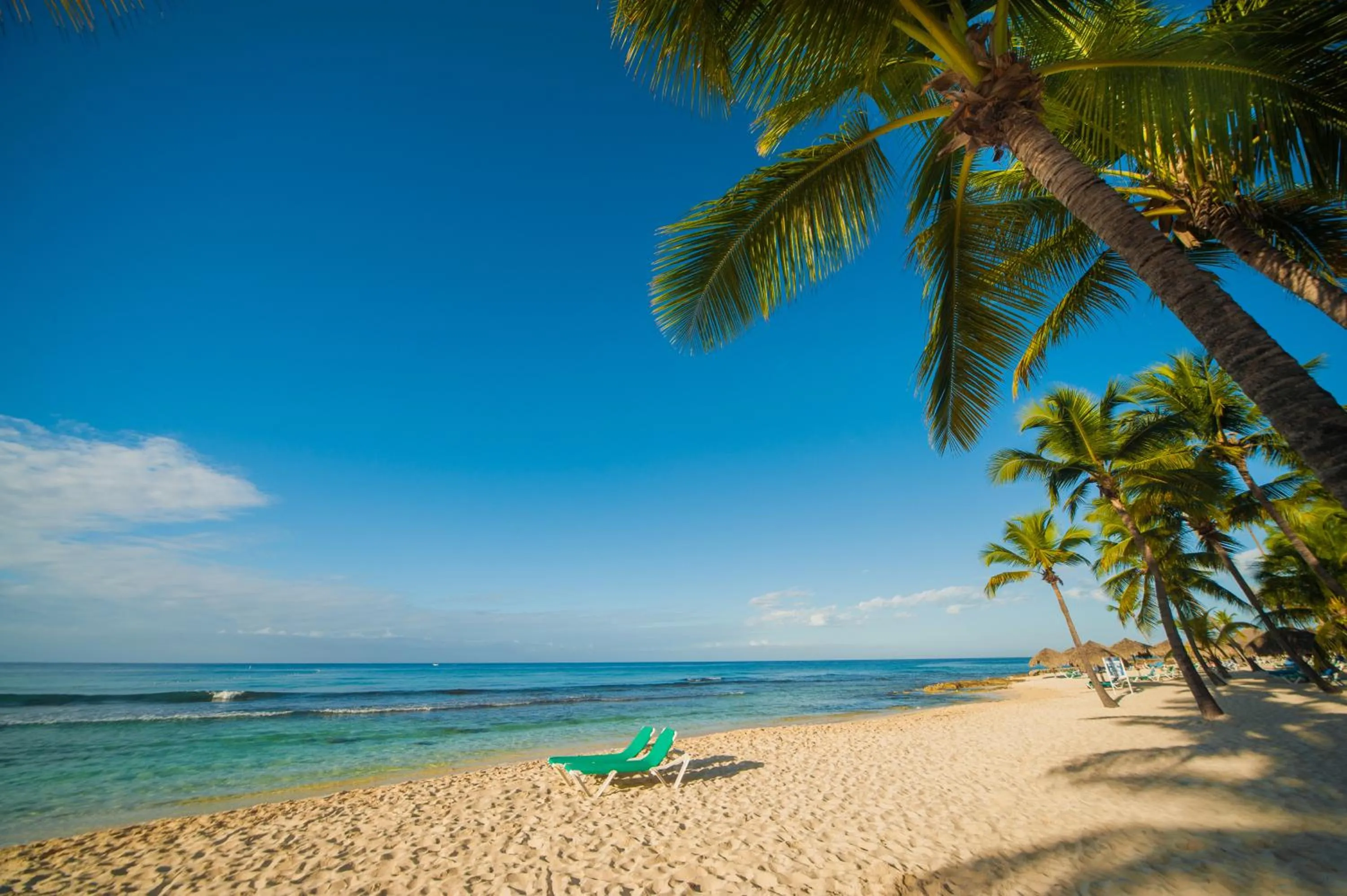 Natural landscape in Viva Dominicus Beach by Wyndham, A Trademark All Inclusive
