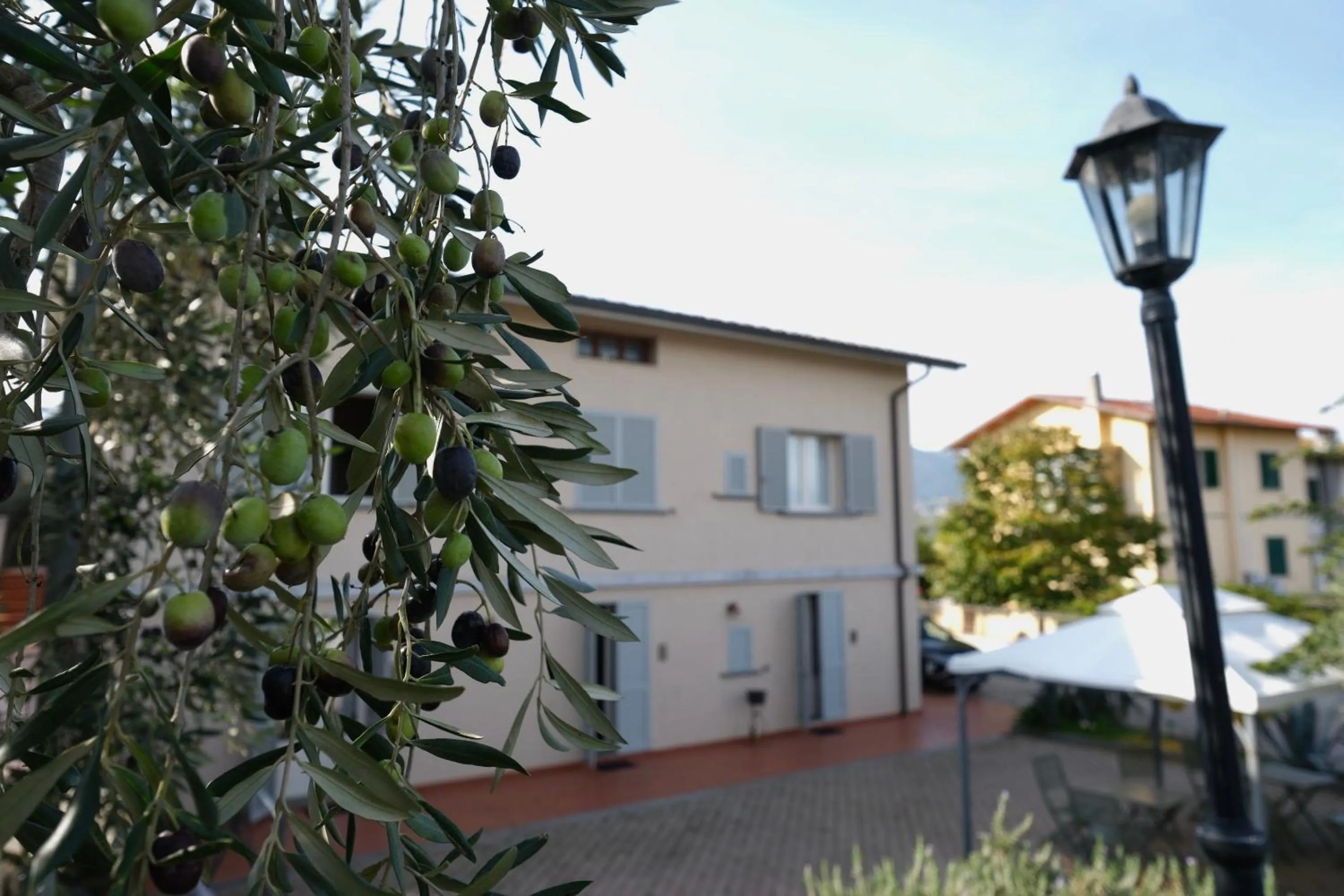 Patio in B&B Orsobigio