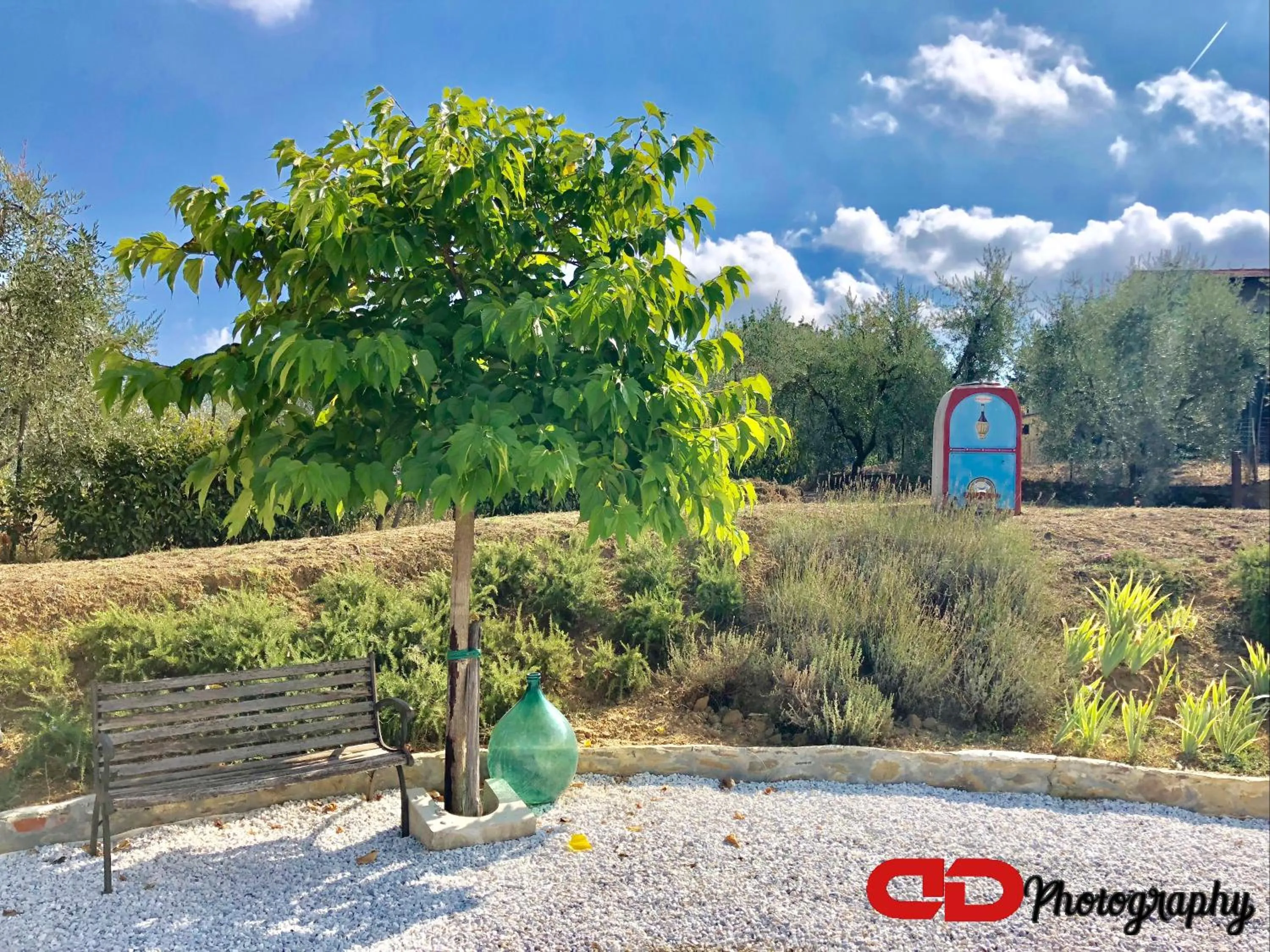 Garden in B&B Orsobigio