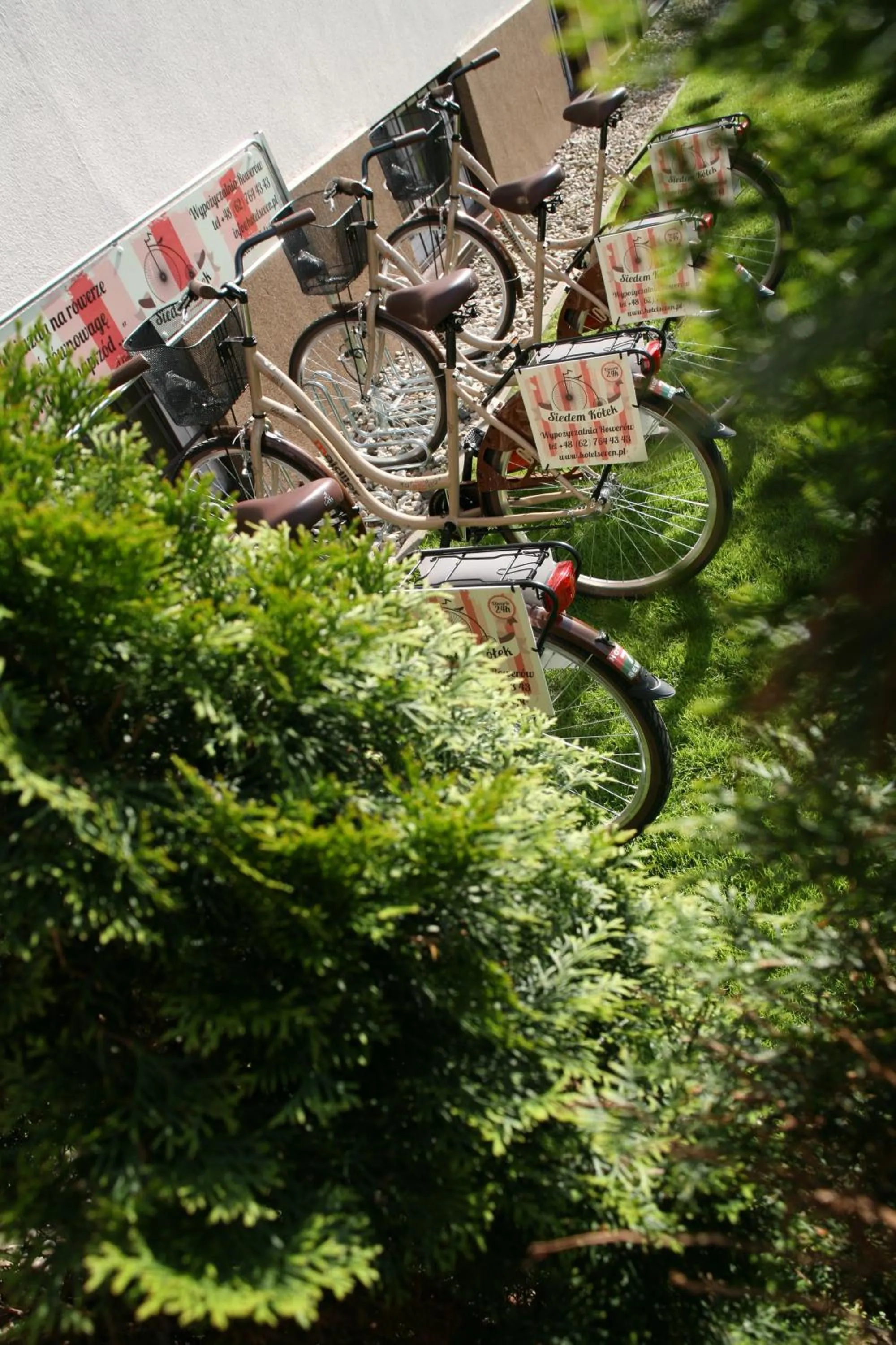 Garden in Hotel Seven 7