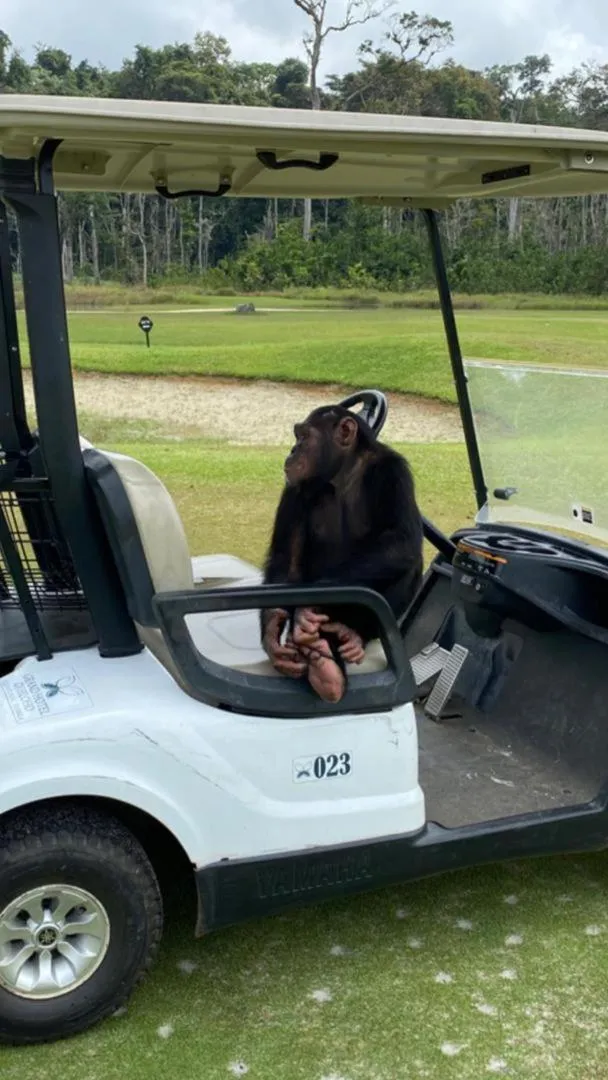 Golfcourse in Grand Hotel Djibloho