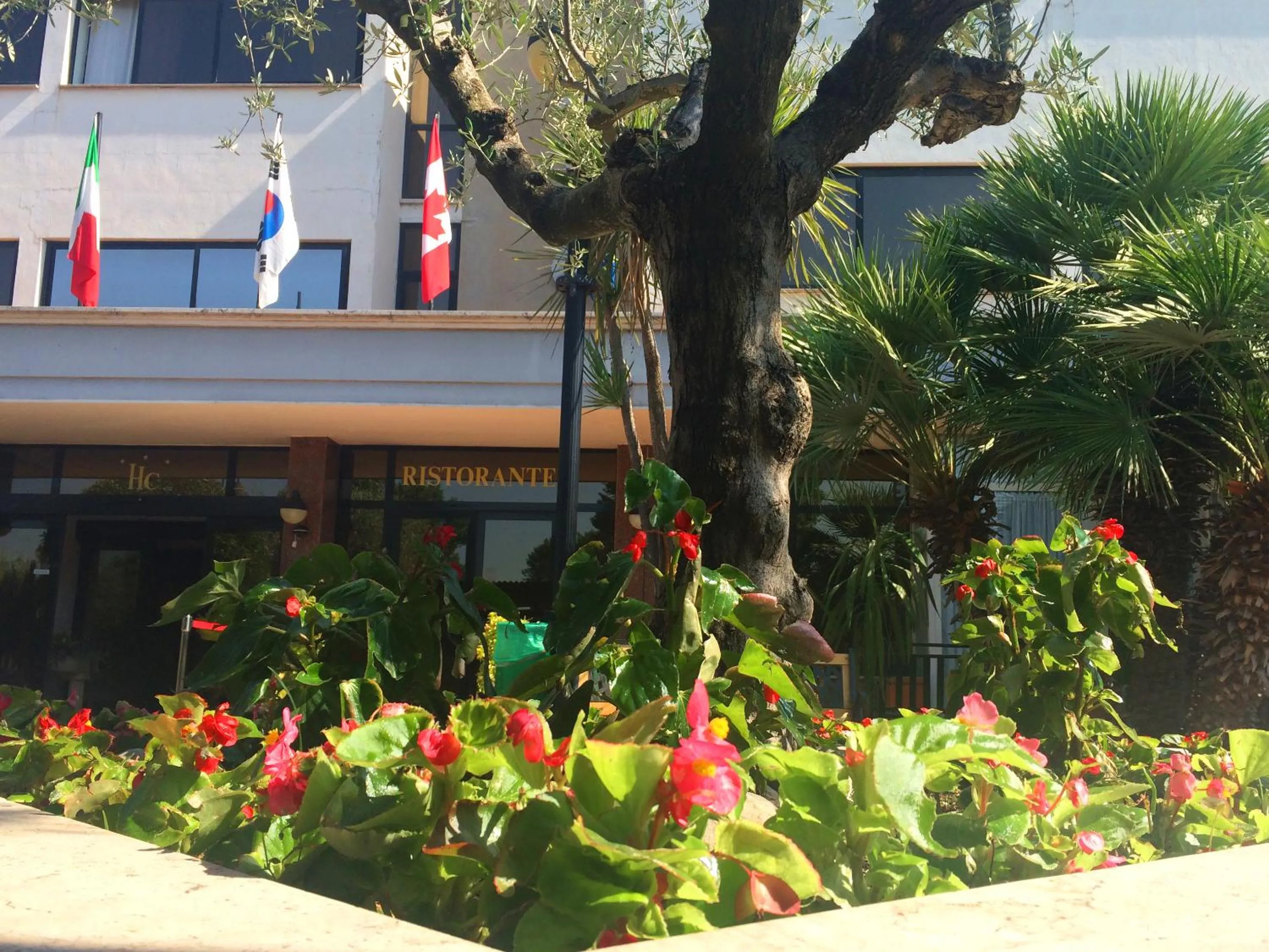 Garden in Hotel Cristallo Relais, Sure Hotel Collection By Best Western