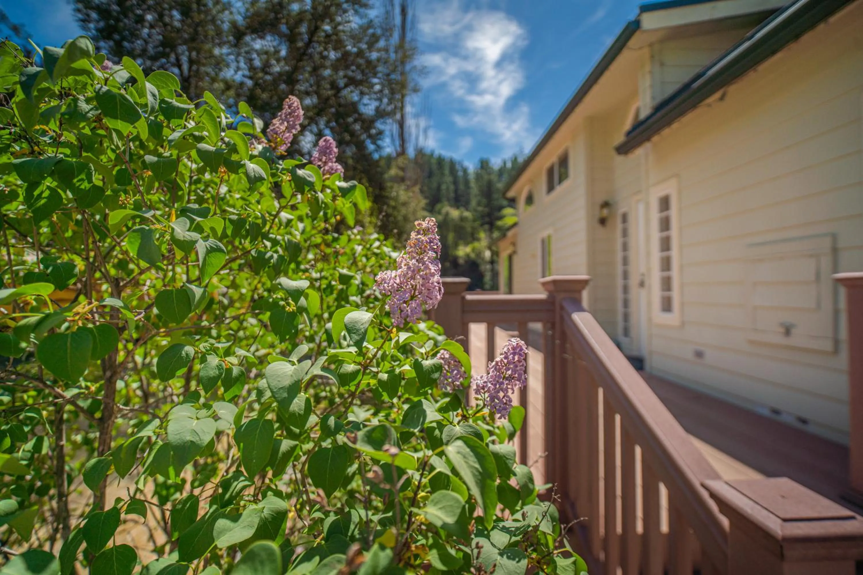 View (from property/room) in Strawhouse Resorts
