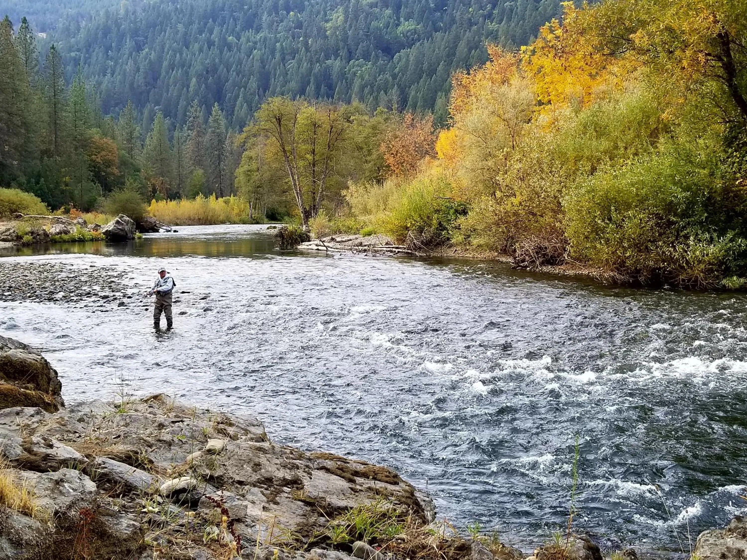 Fishing in Strawhouse Resorts