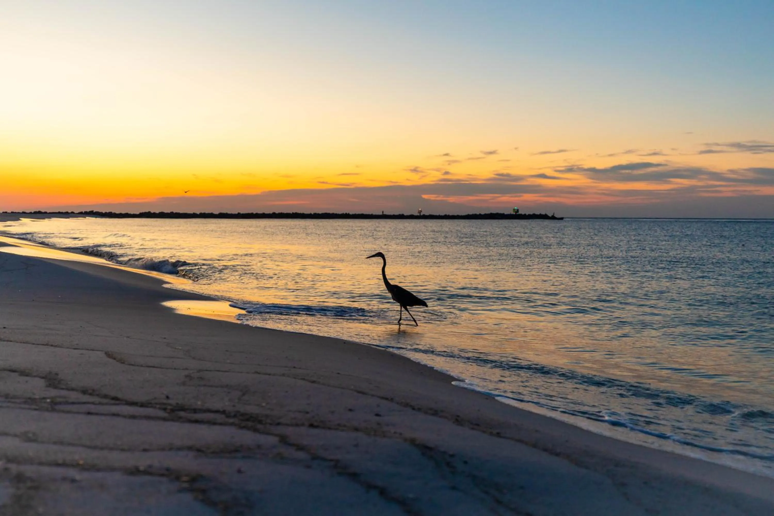 Beach in Perdido Beach Resort