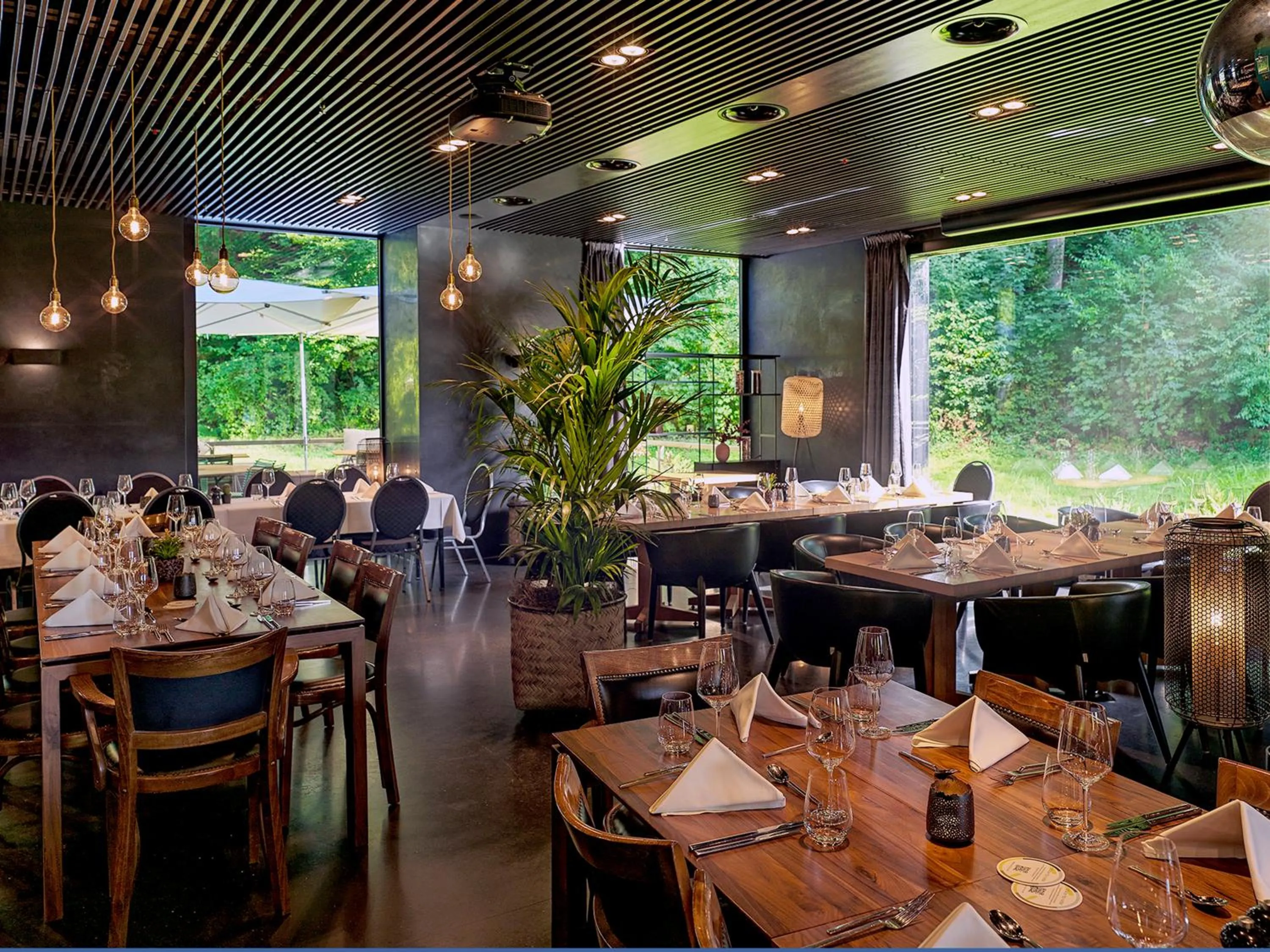 Restaurant/places to eat in City Garden Hotel