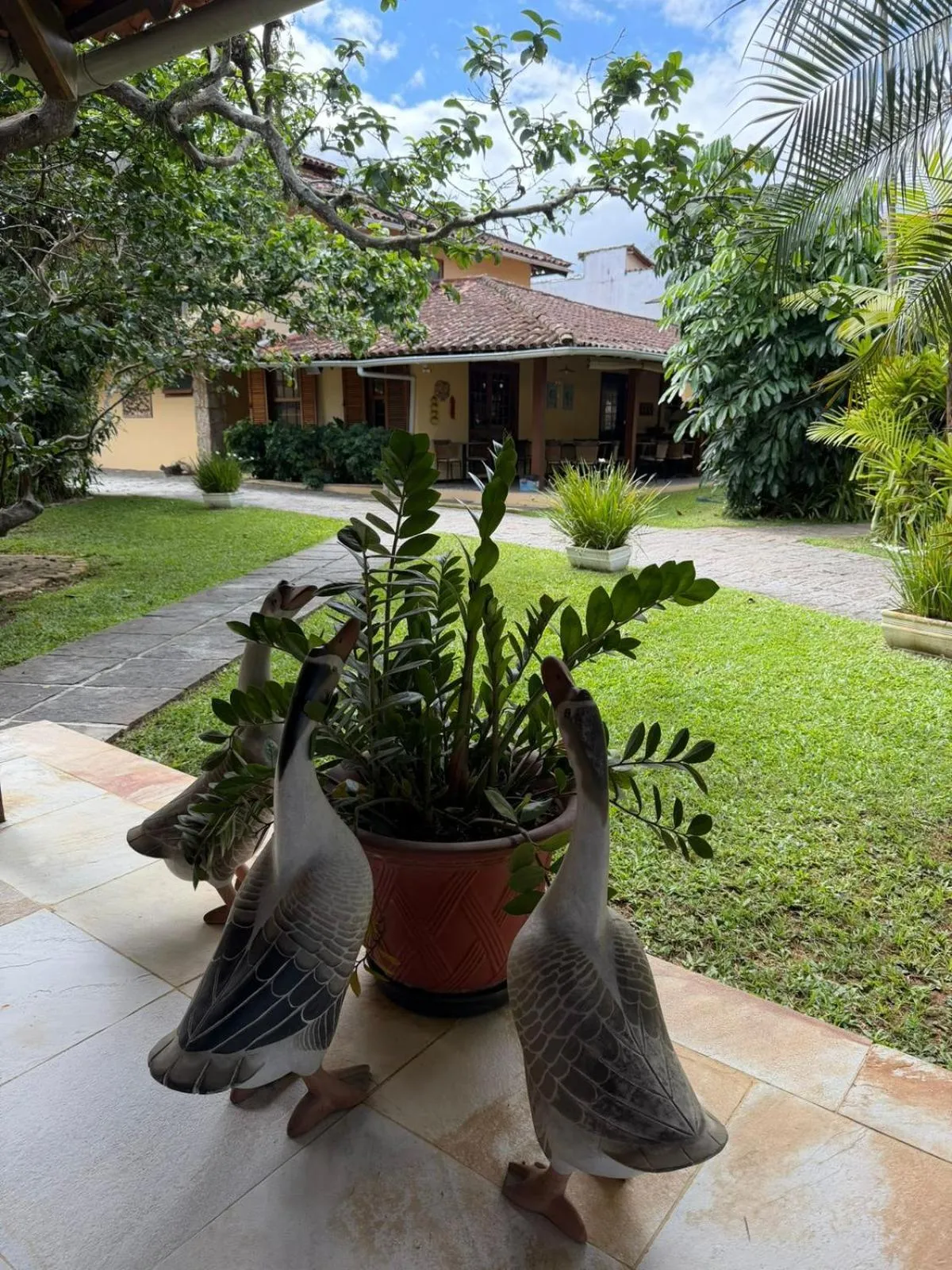 Garden view in Pousada Paisagem