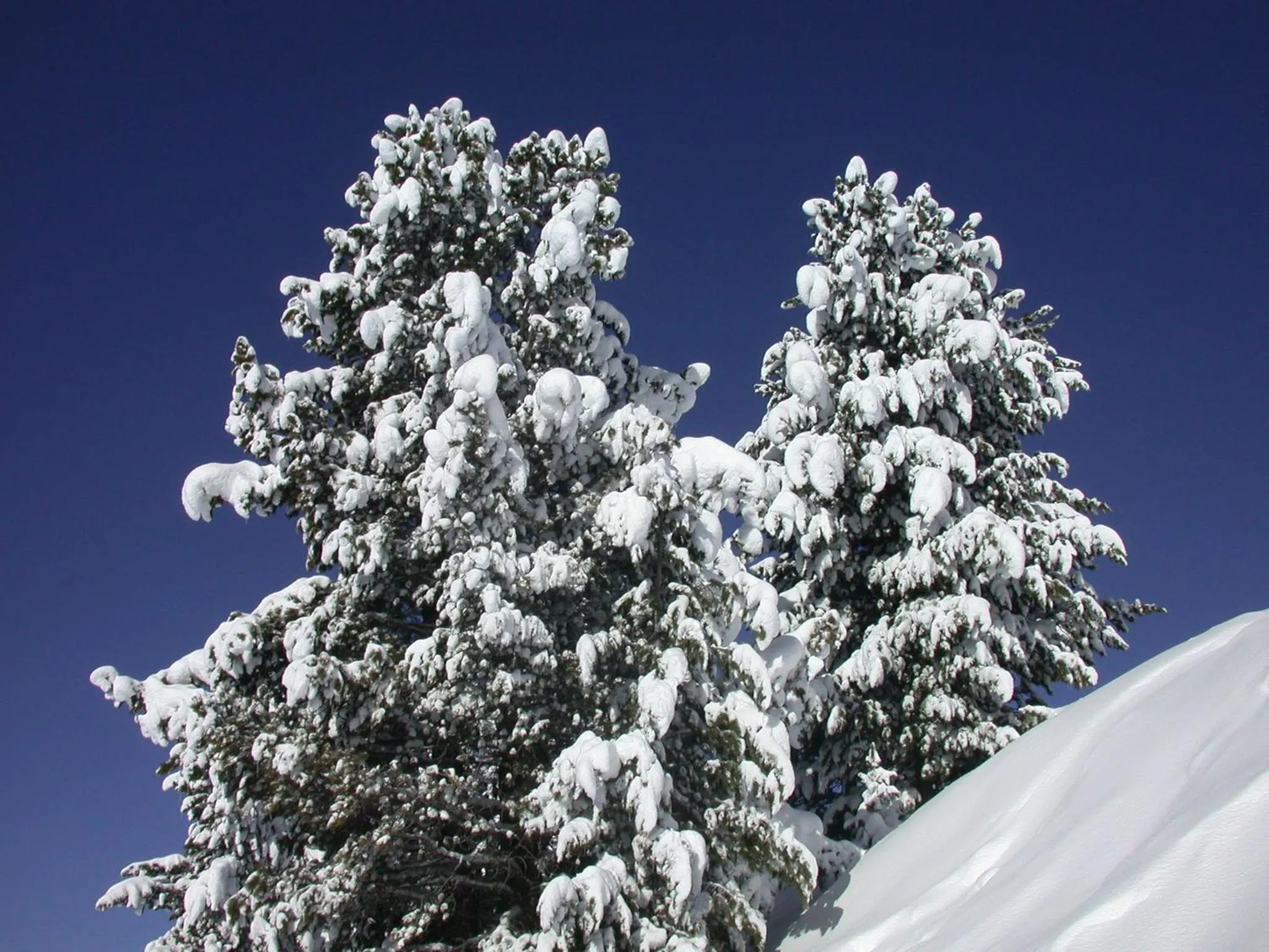 Mountain view in Seiblishof Superior Hotel Ischgl