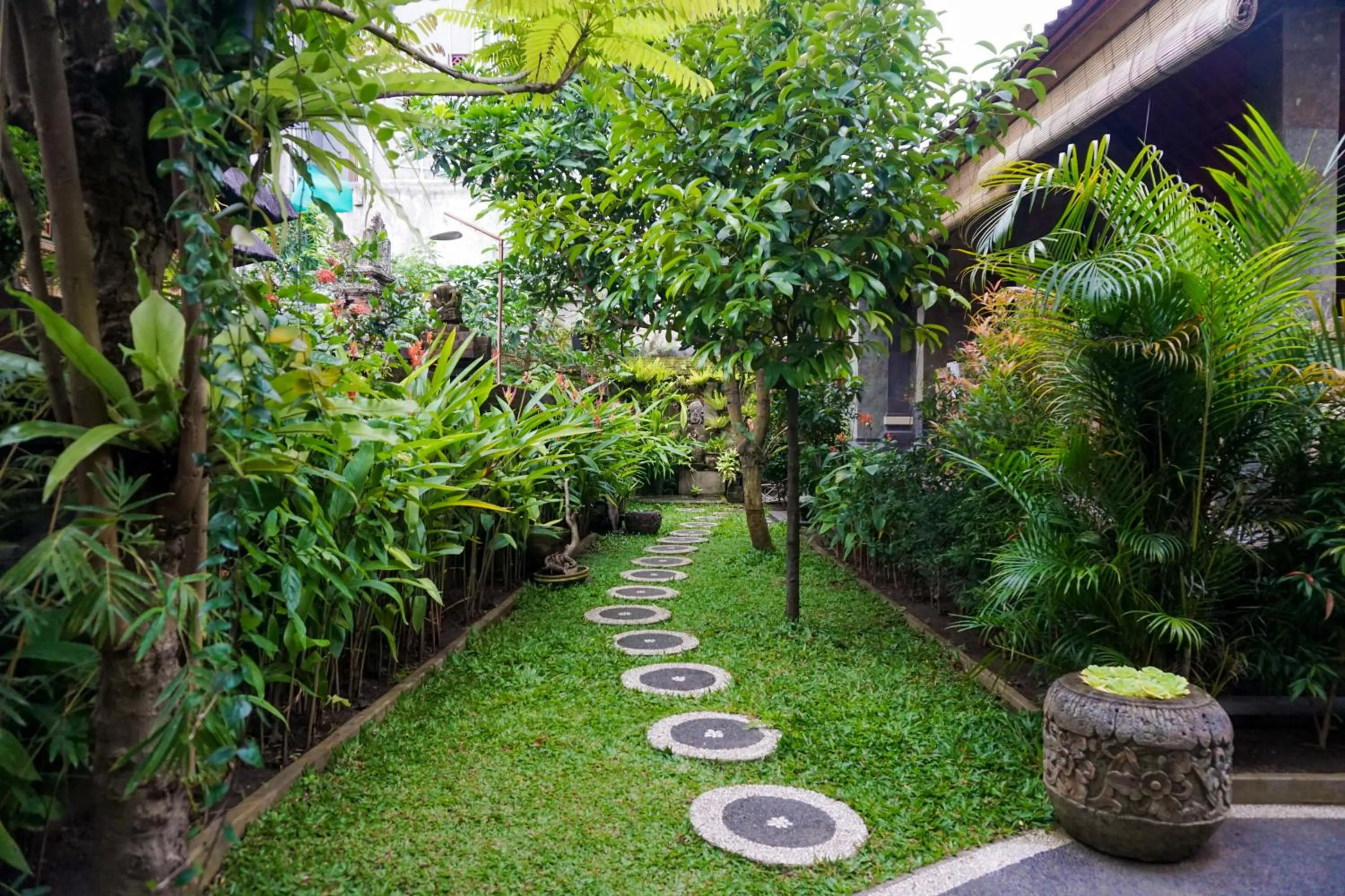 Garden in Three Brothers Guest House