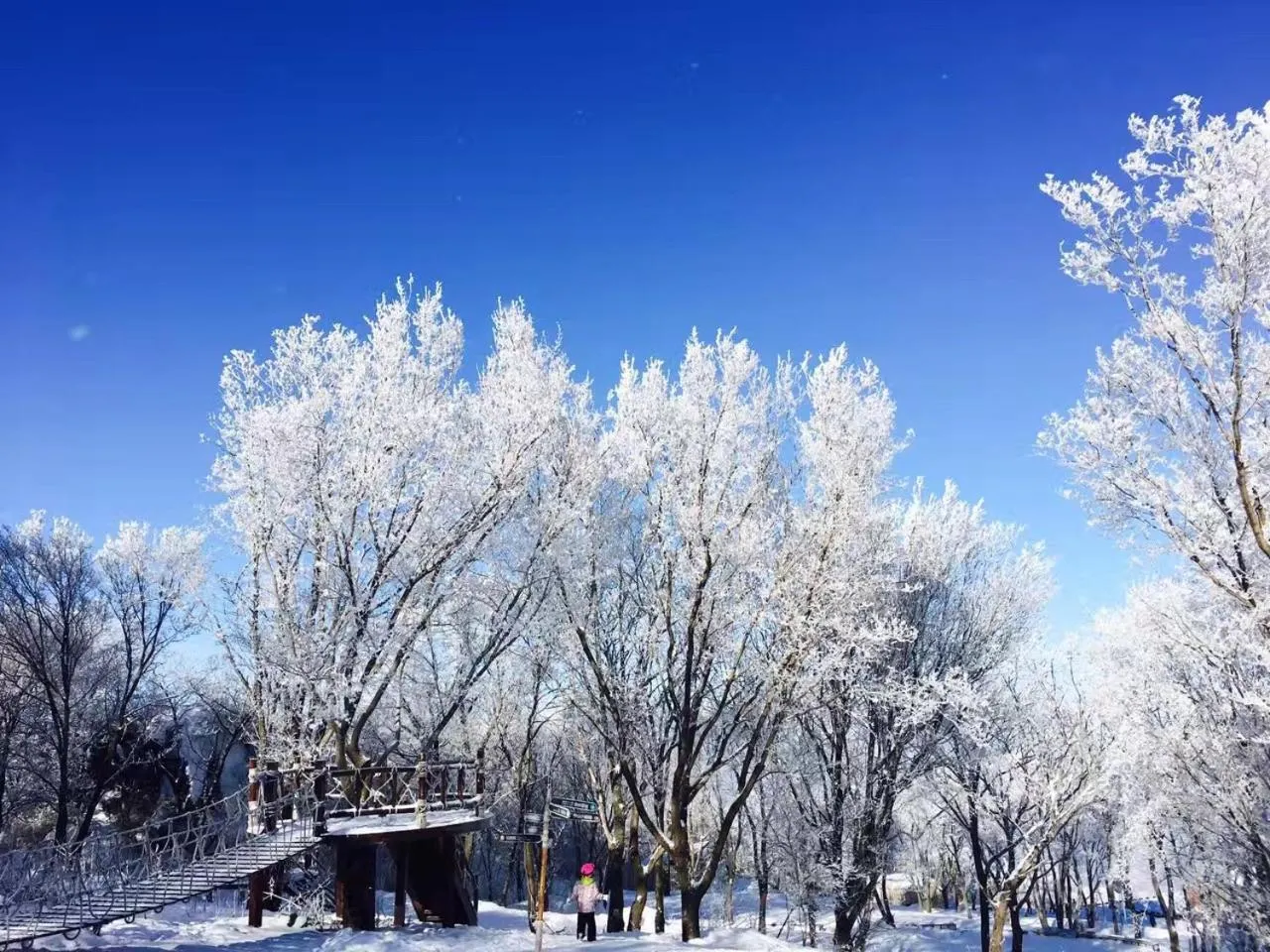 Property building in Songhua Lake Qingshan Snow View Apartment