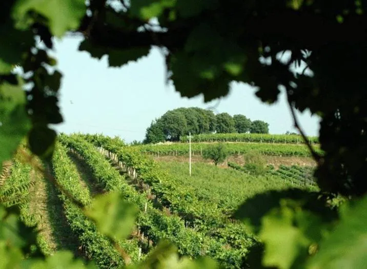 Hiking in Hotel La Spia D'Italia
