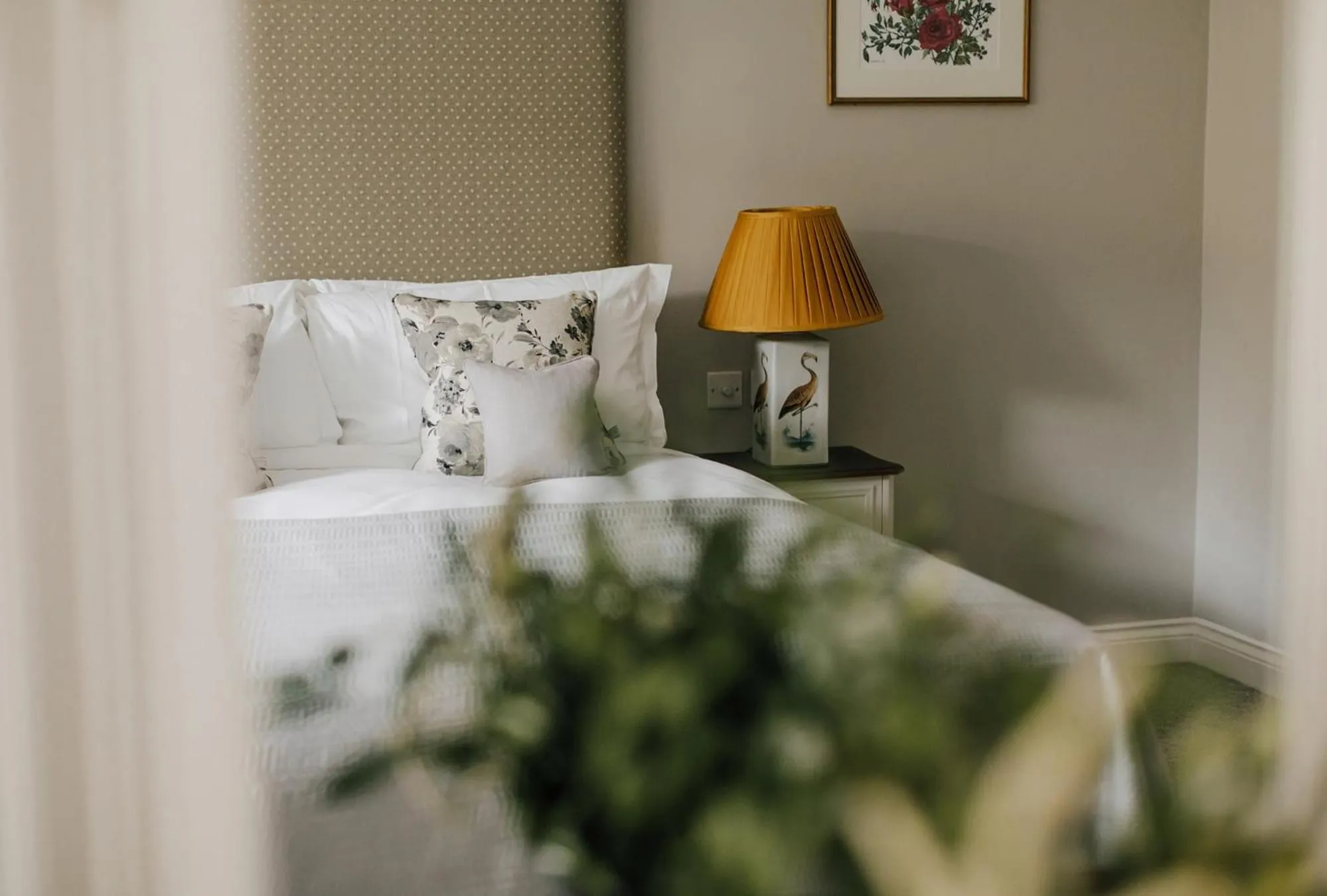 Bed in Tyndall Villa Boutique B&B