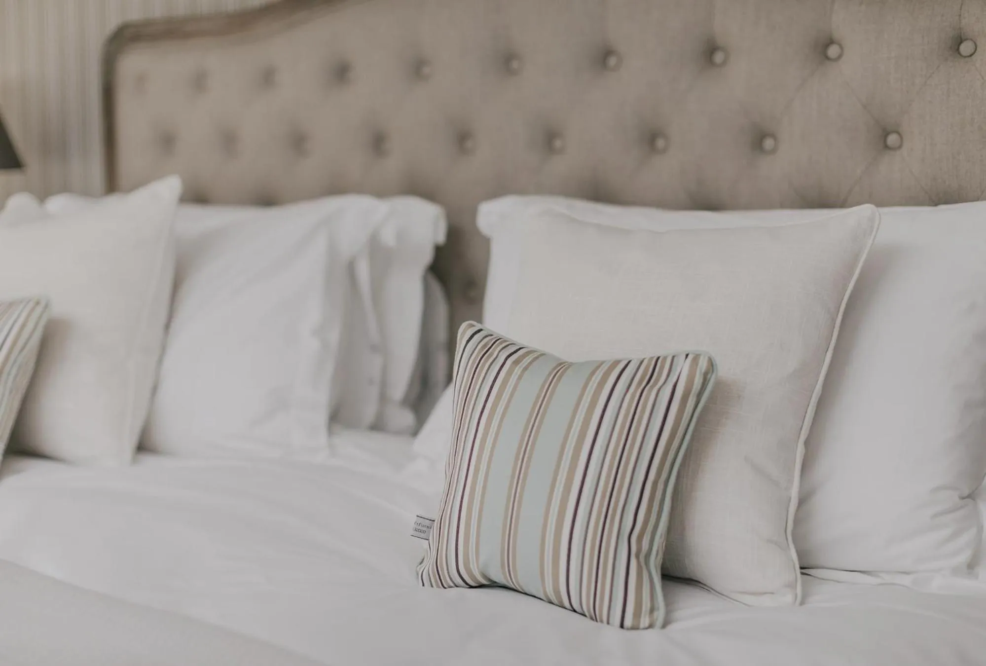 Bed in Tyndall Villa Boutique B&B