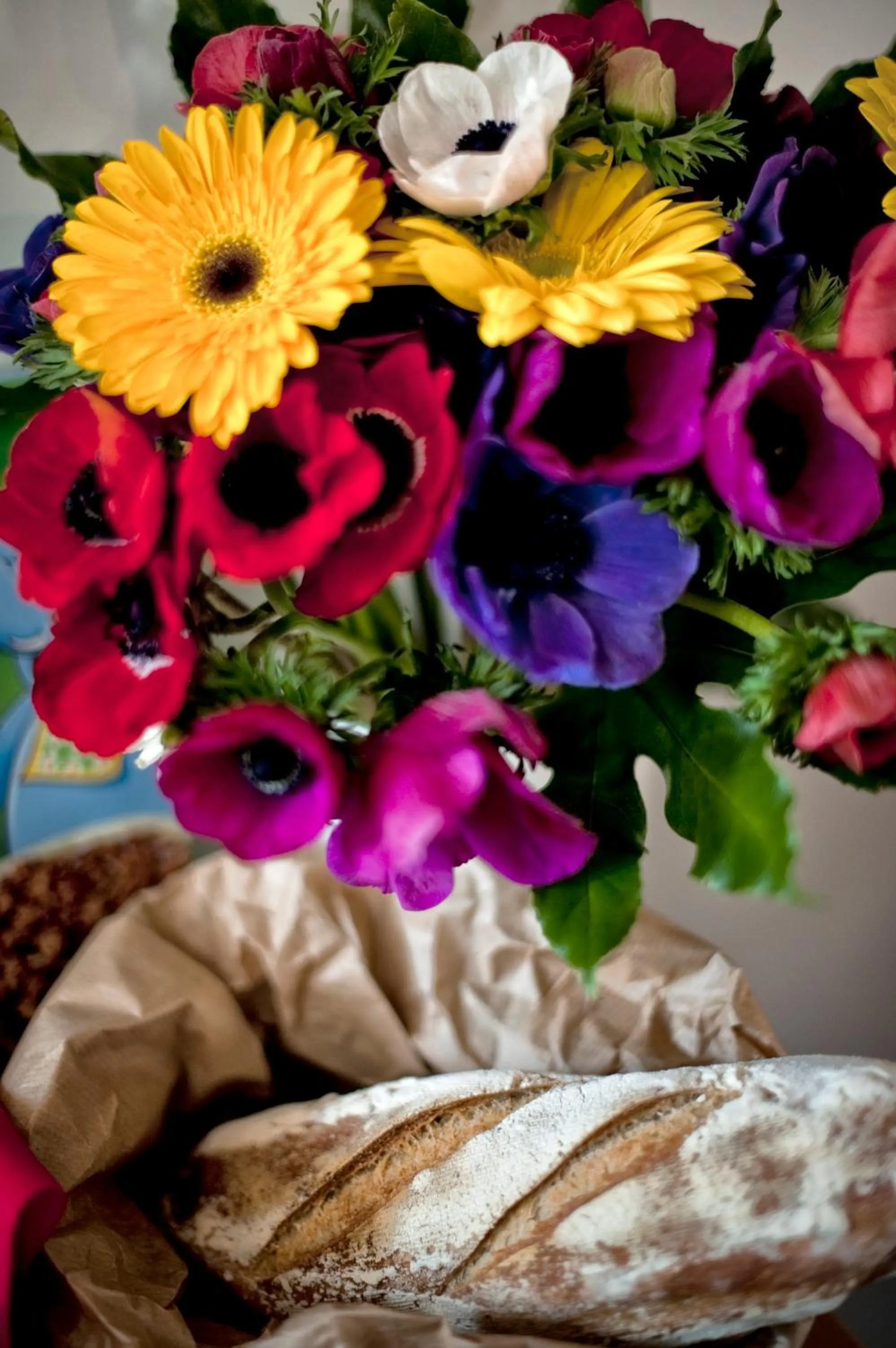 Kitchen or kitchenette in TinkerBell GuestHouse