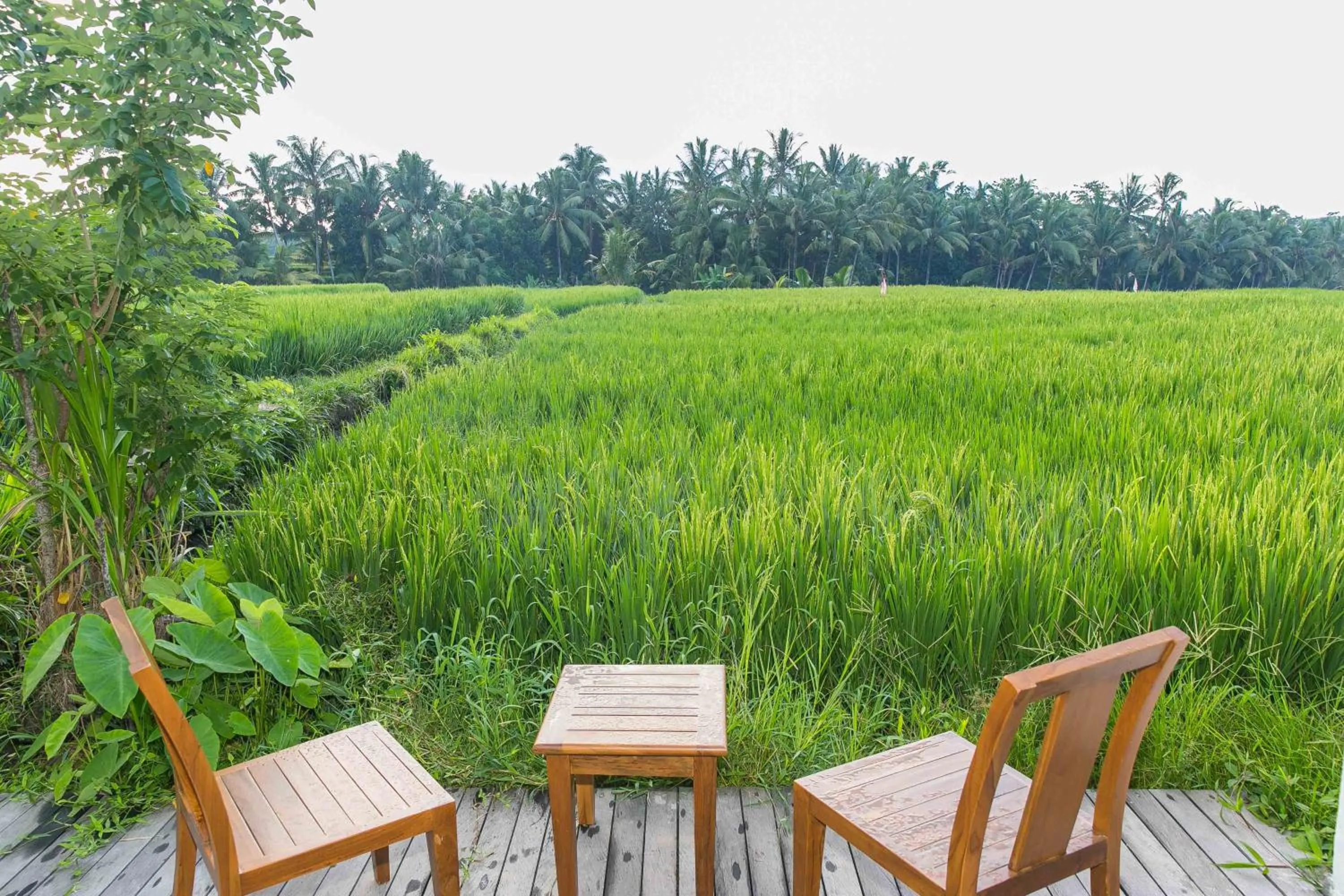 Property building in Solo Villas & Retreat