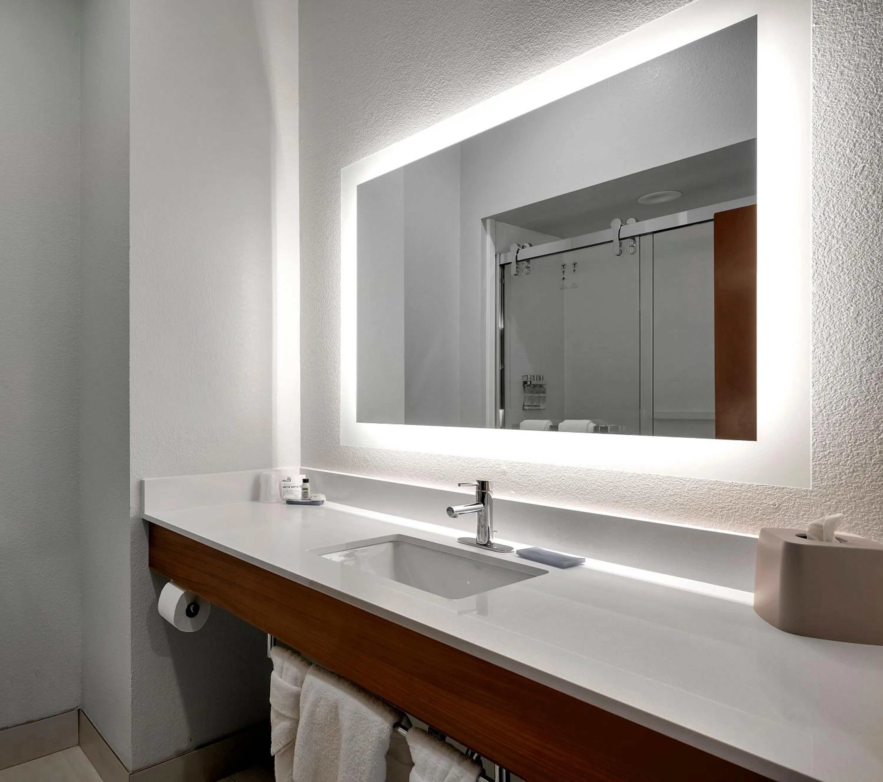 Bathroom in Holiday Inn Express Hotel & Suites Lufkin South by IHG