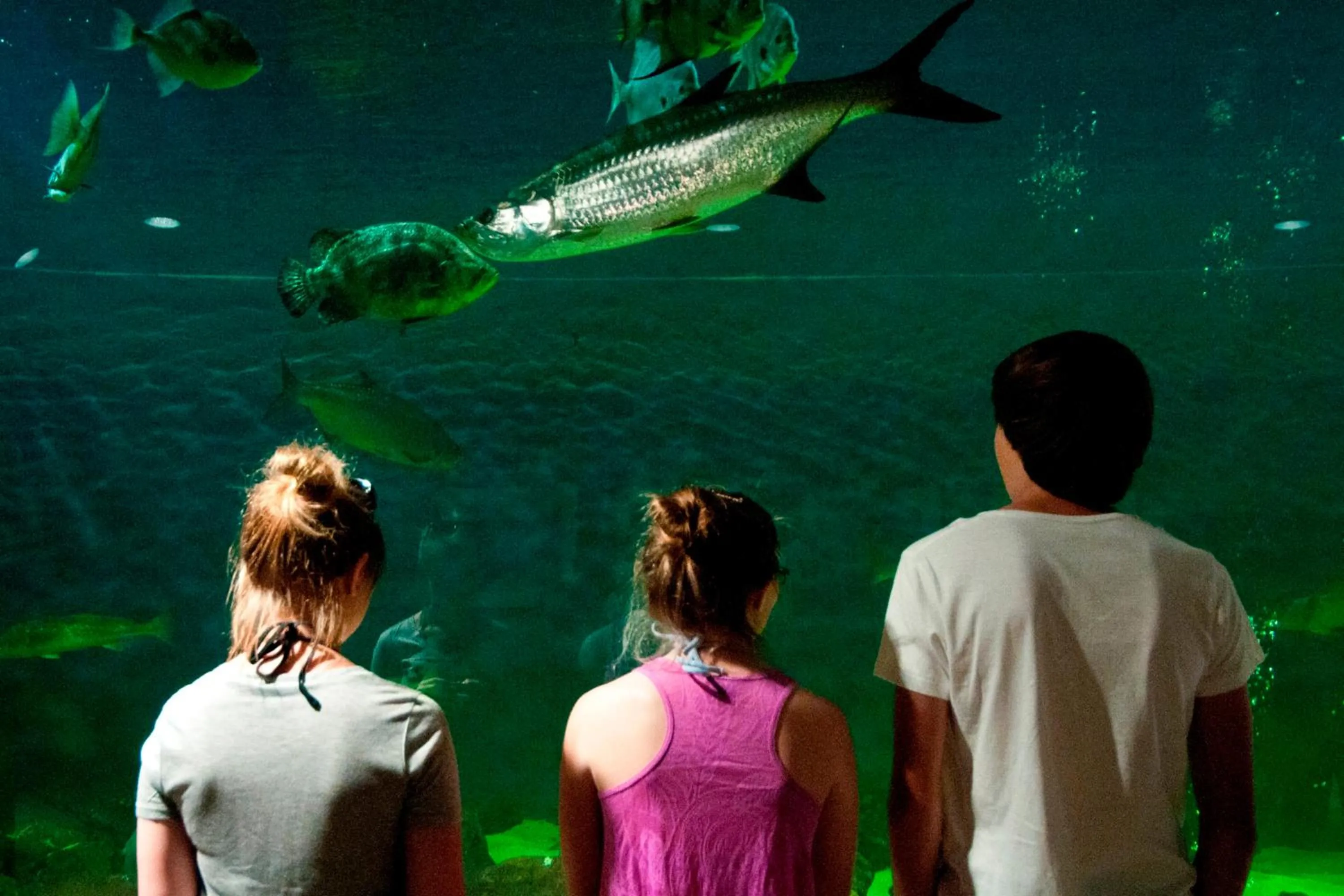 Nearby landmark in Candlewood Suites Lake Jackson by IHG