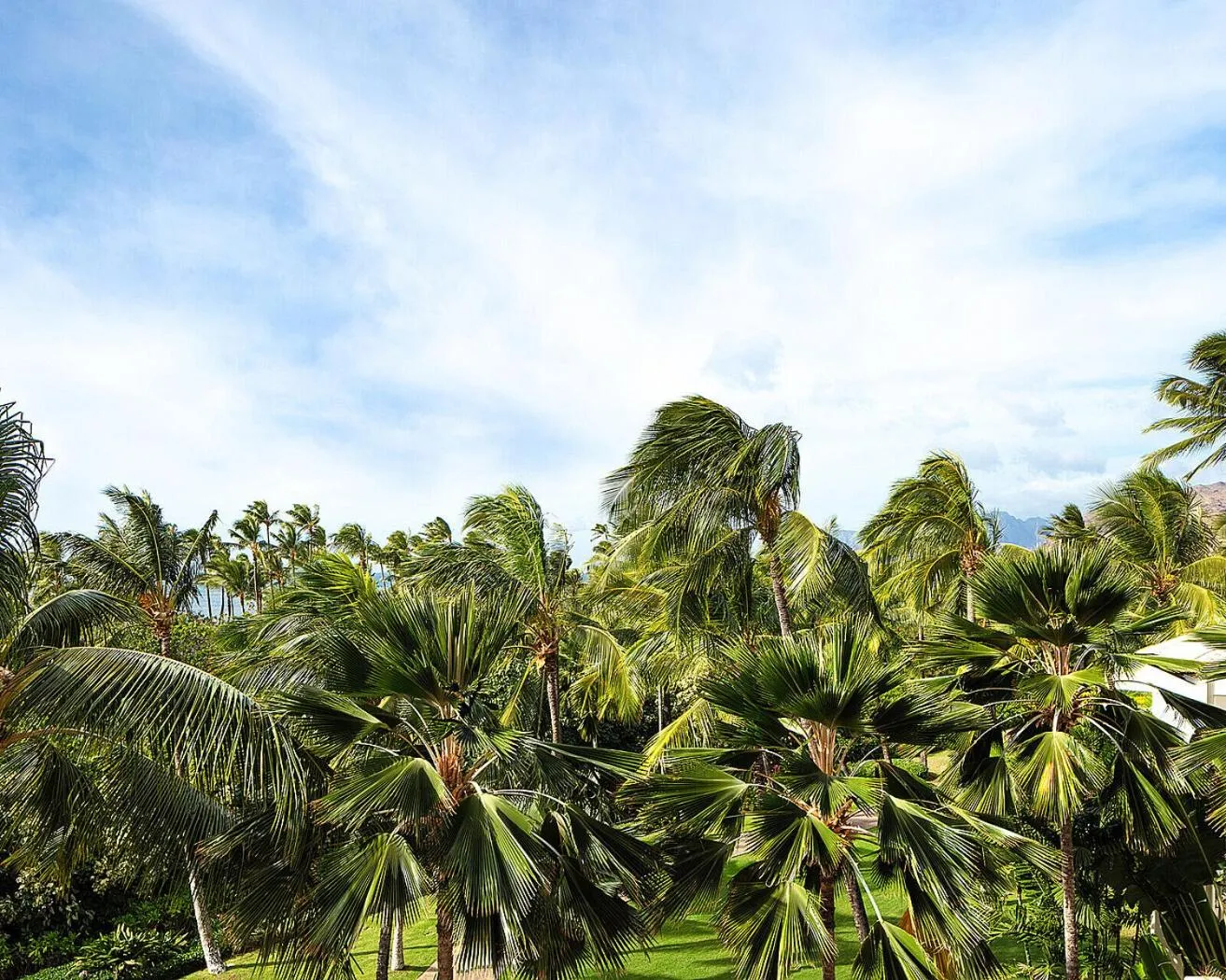 View (from property/room) in Four Seasons Resort Oahu at Ko Olina