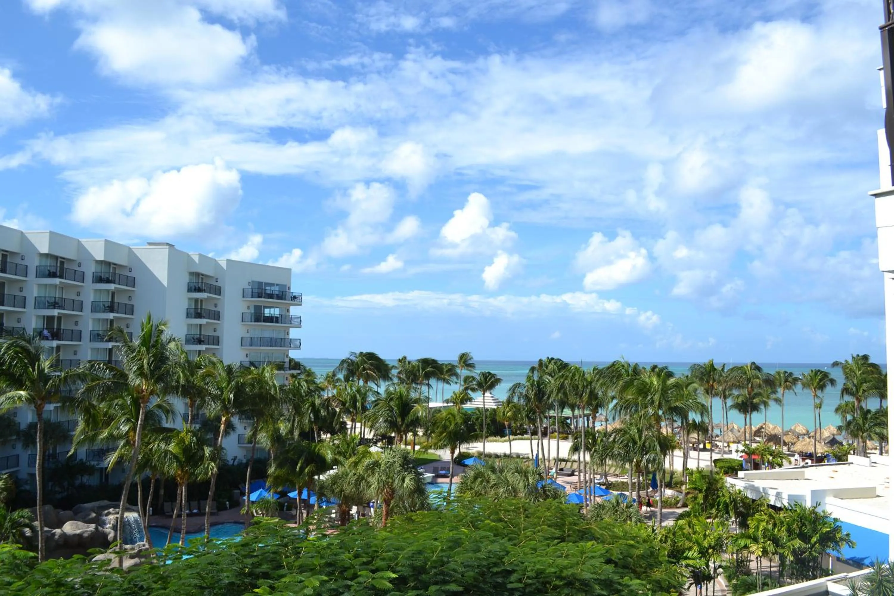 Natural landscape in Aruba Marriott Resort & Stellaris Casino