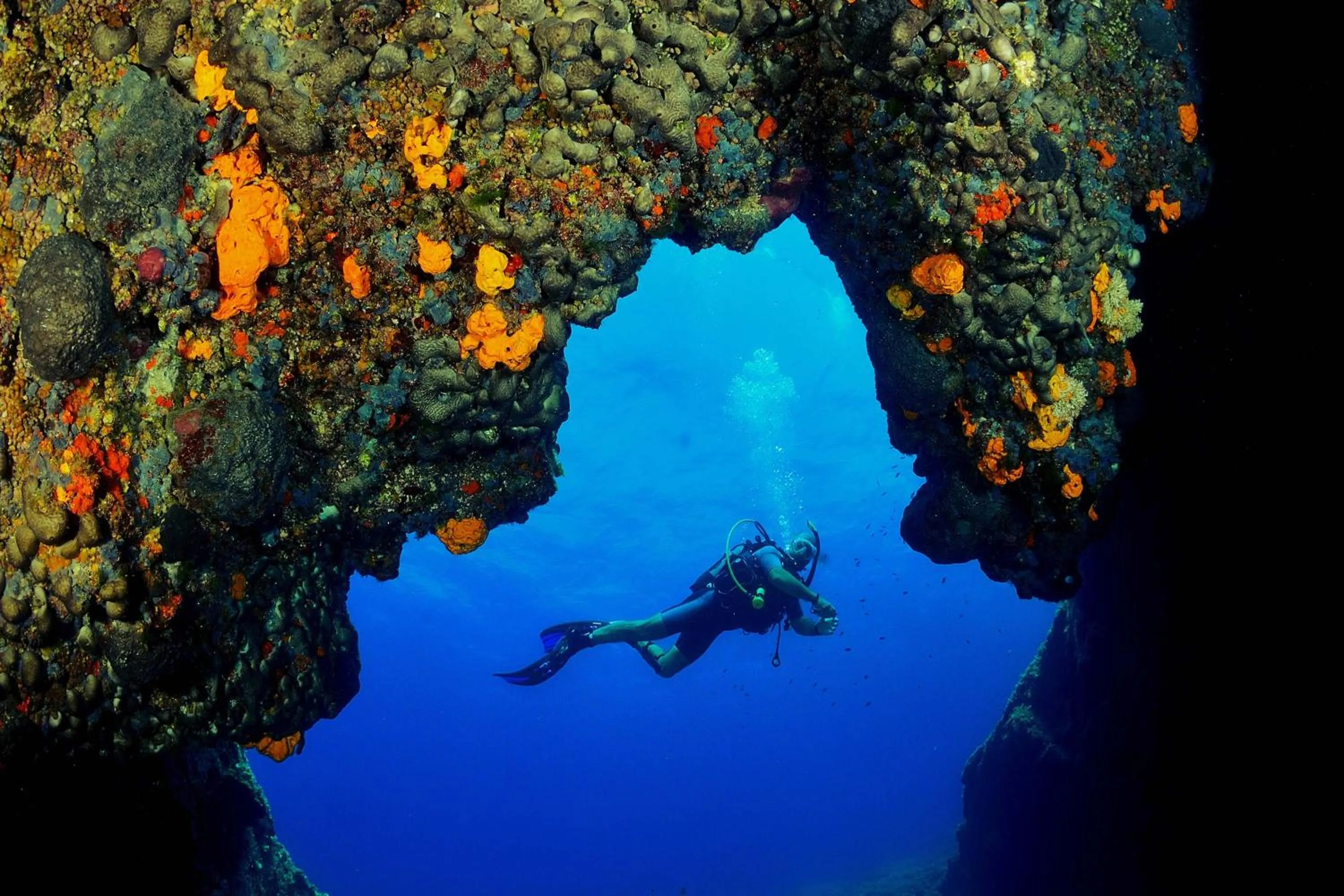 Other in The Romanos, a Luxury Collection Resort, Costa Navarino