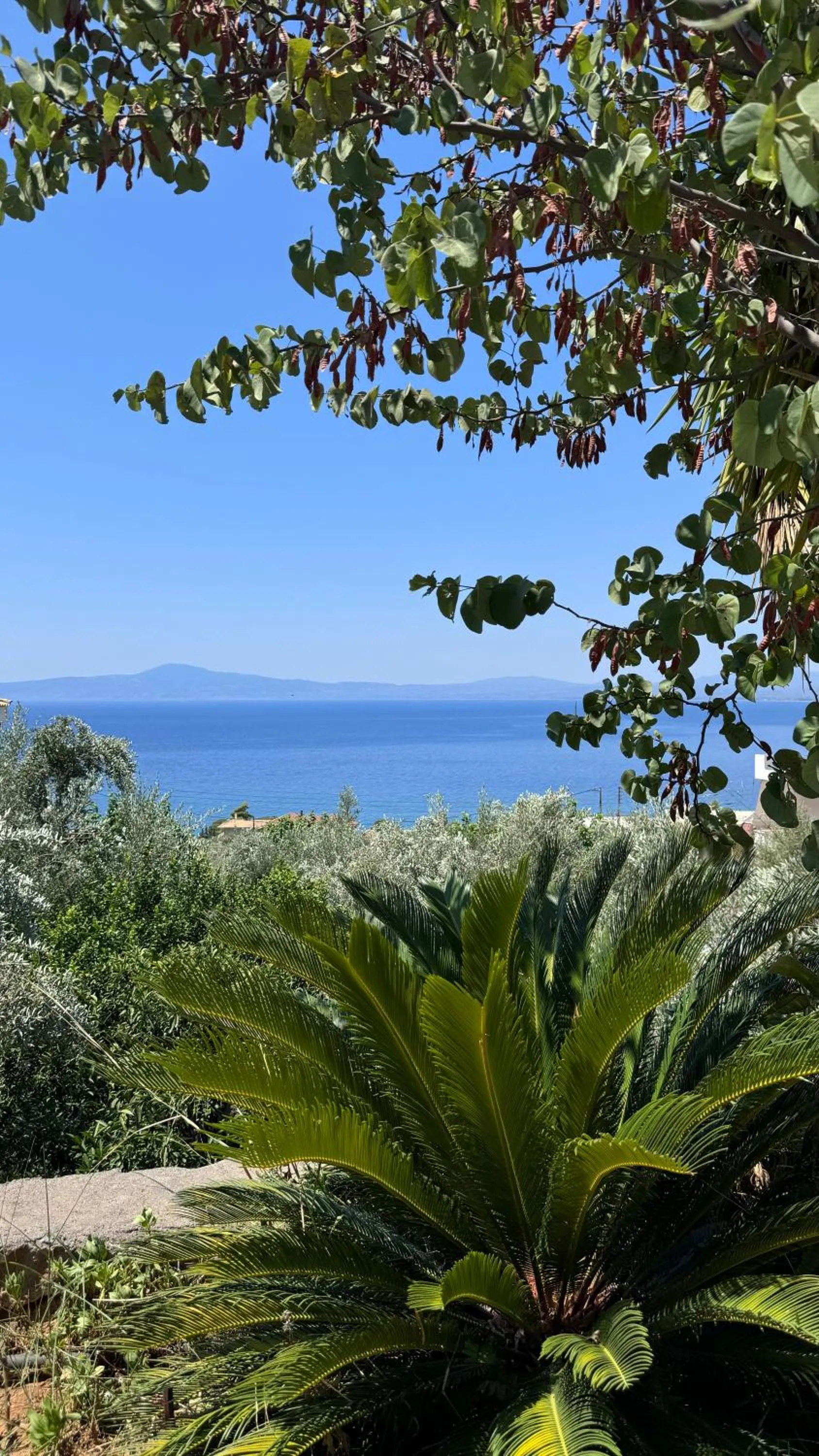 Day in Verga Apartments & Suites