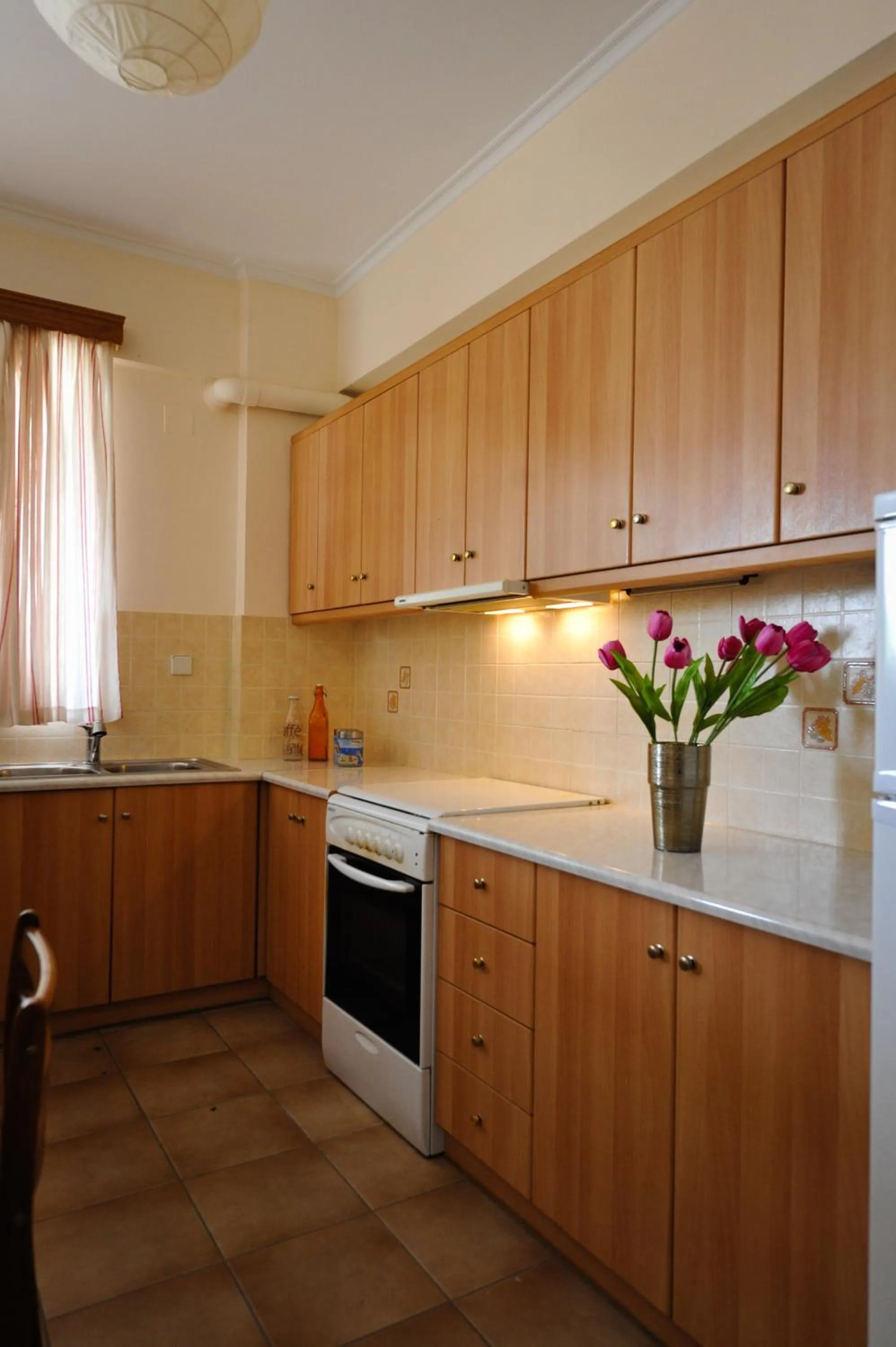 Kitchen or kitchenette in Verga Apartments & Suites
