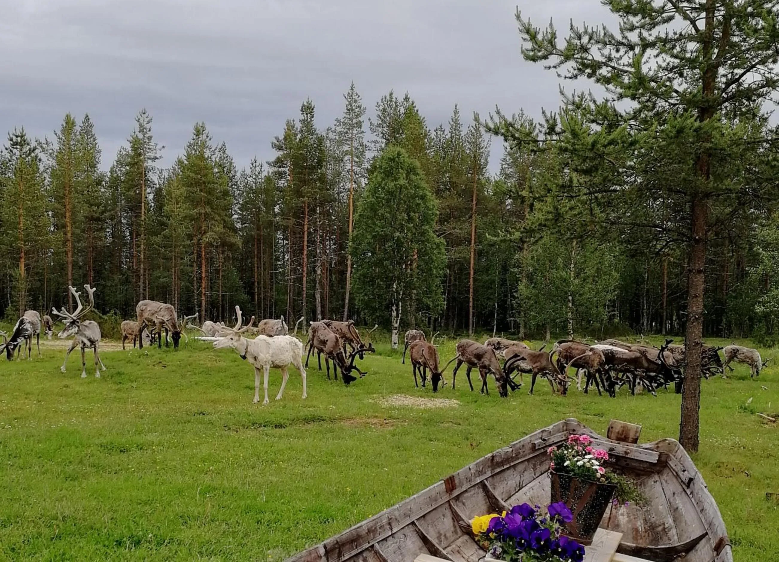 Day in Vuotson Maja B&B