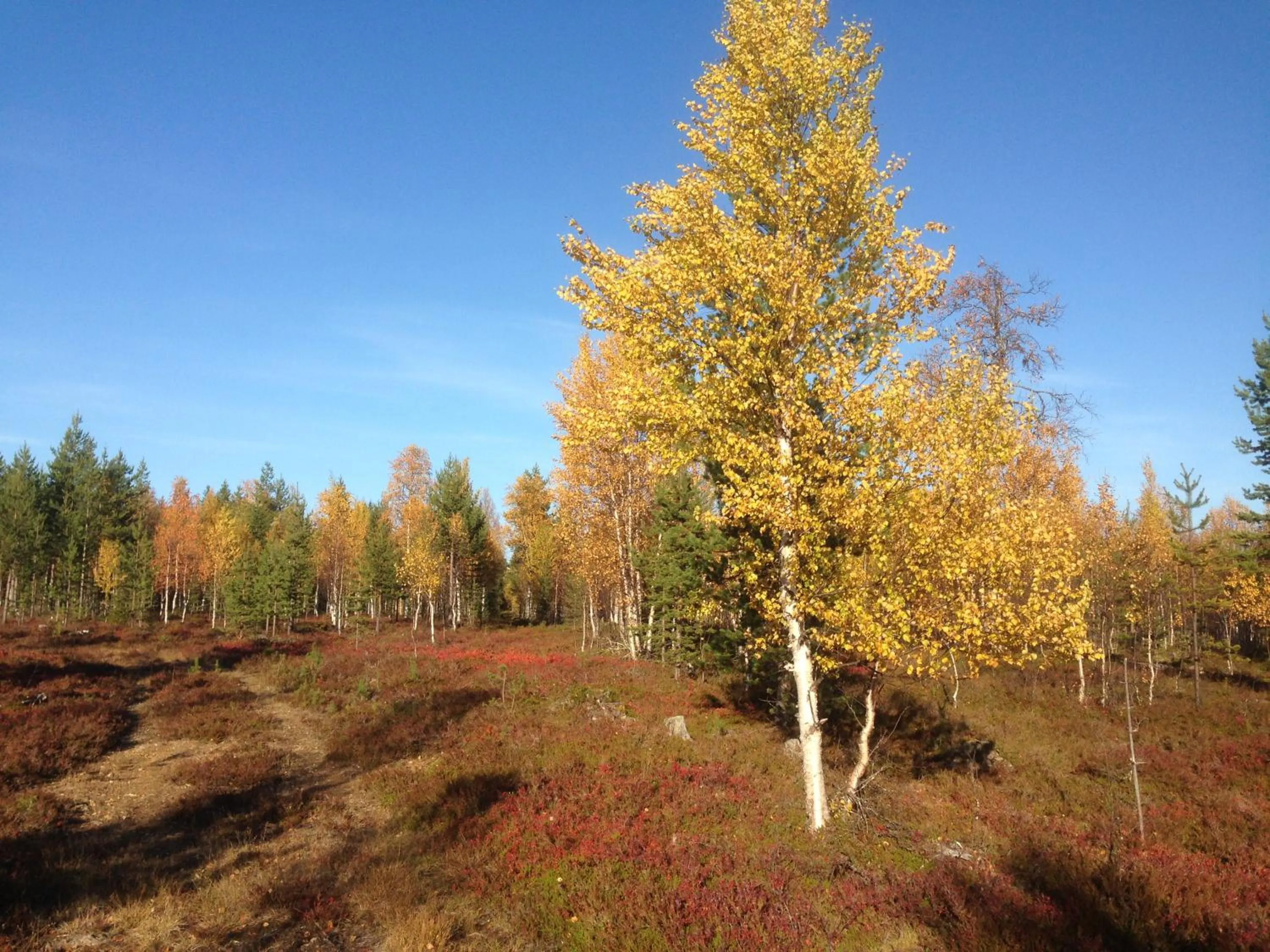 Off site in Vuotson Maja B&B