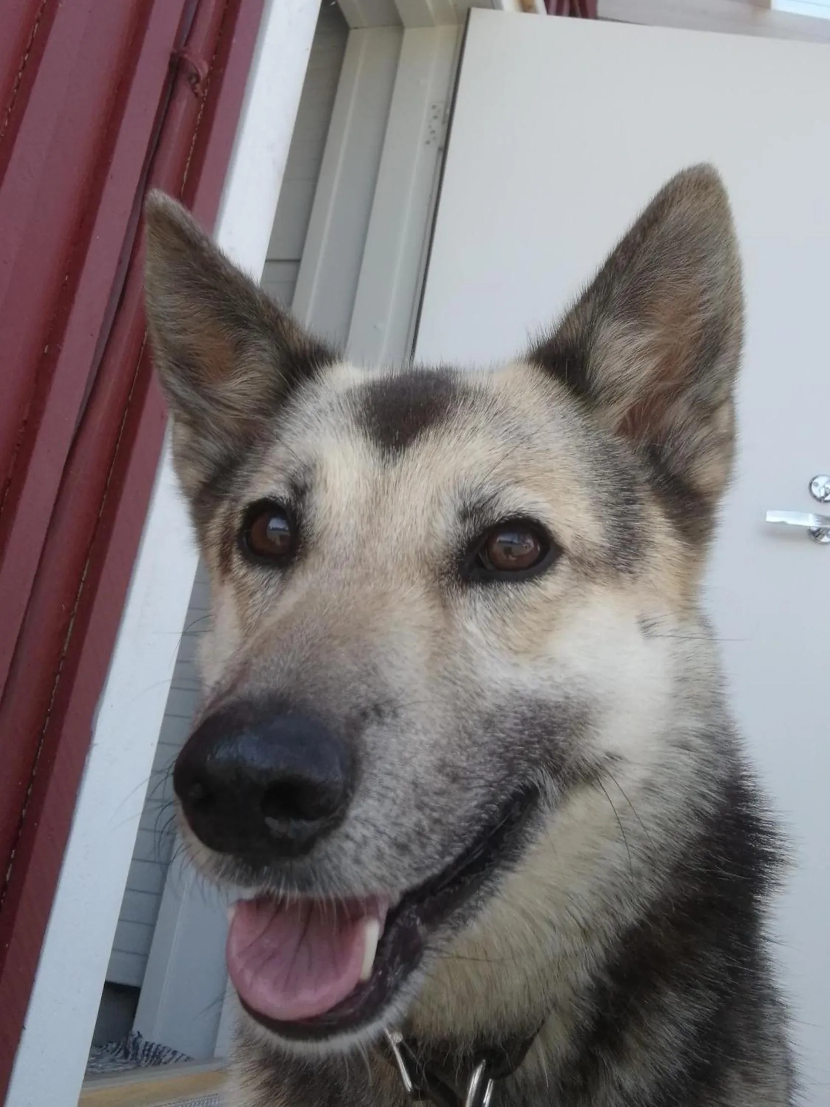 Decorative detail in Vuotson Maja B&B