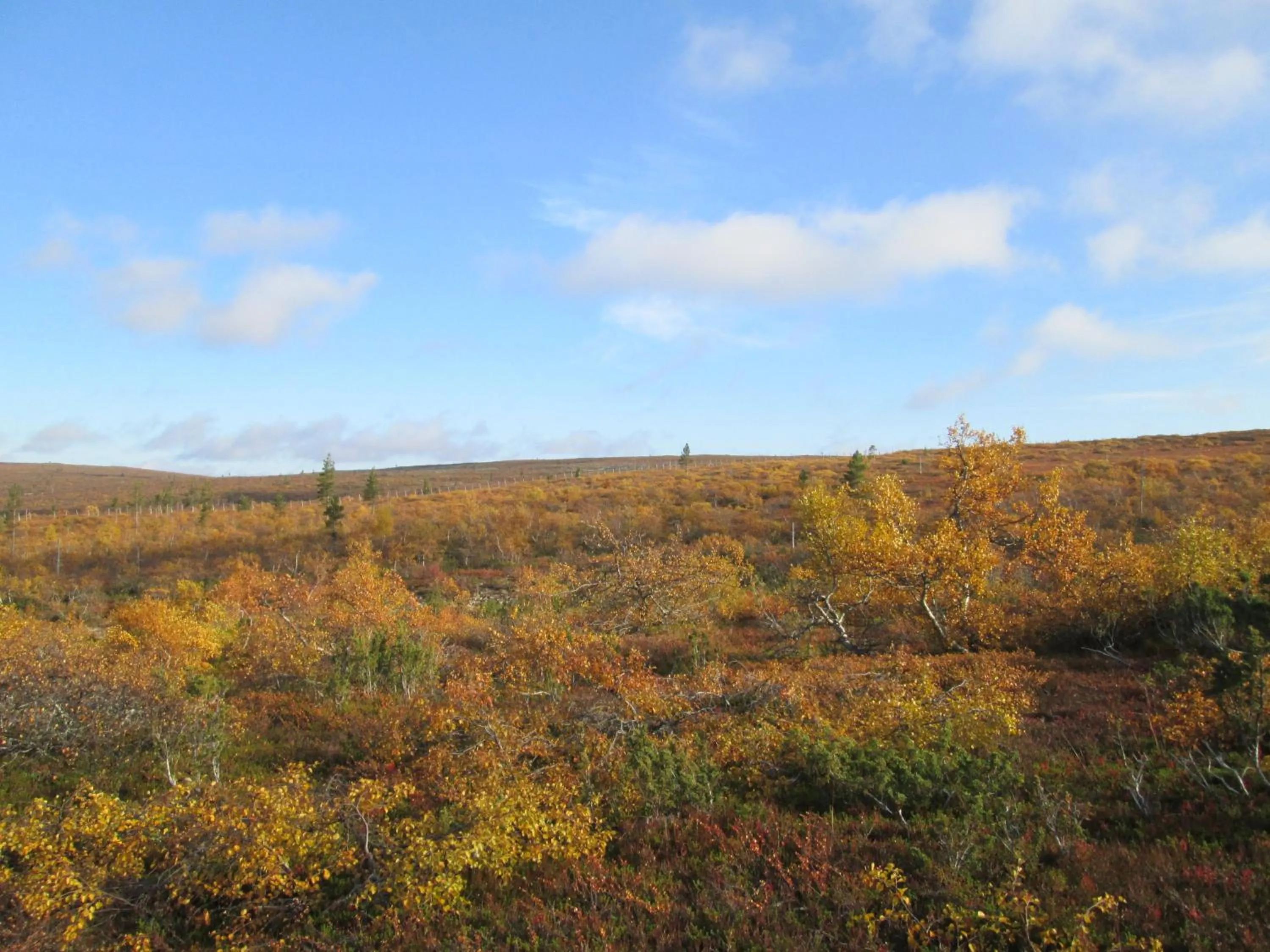 Off site in Vuotson Maja B&B