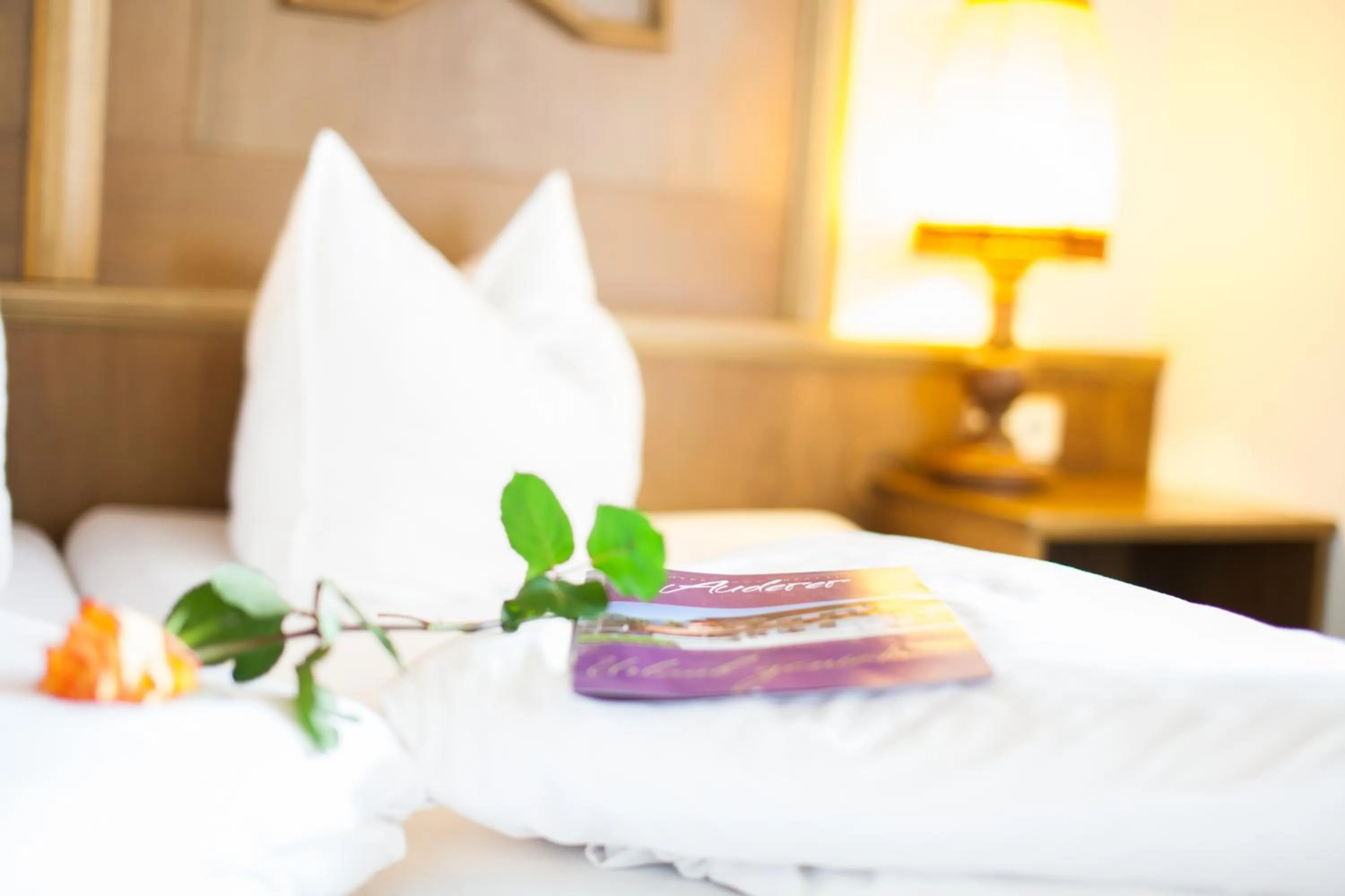 Bed in Hotel Auderer