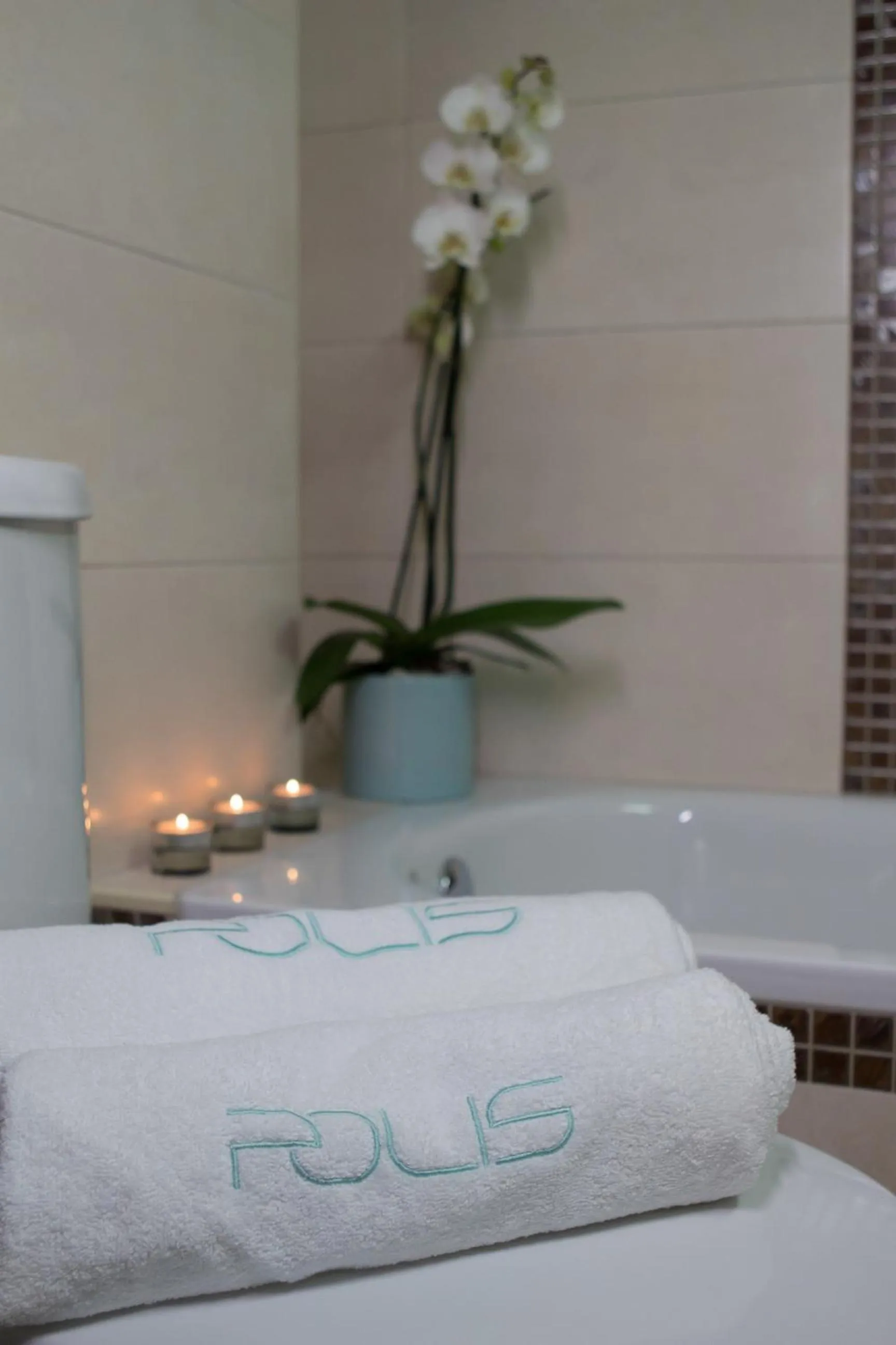 Toilet in Polis Apartments